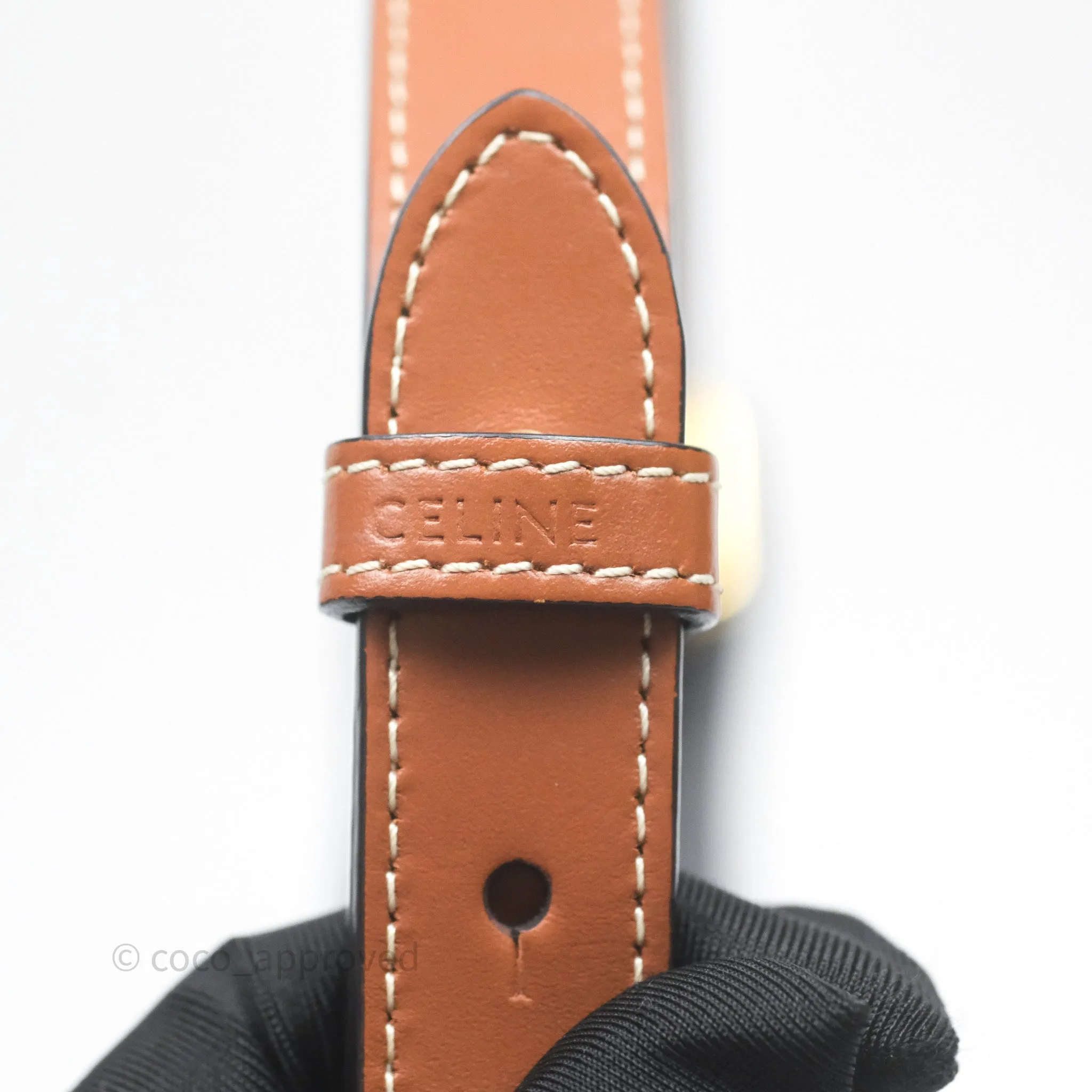 Celine Ava Bag In Triomphe Canvas Calfskin Tan