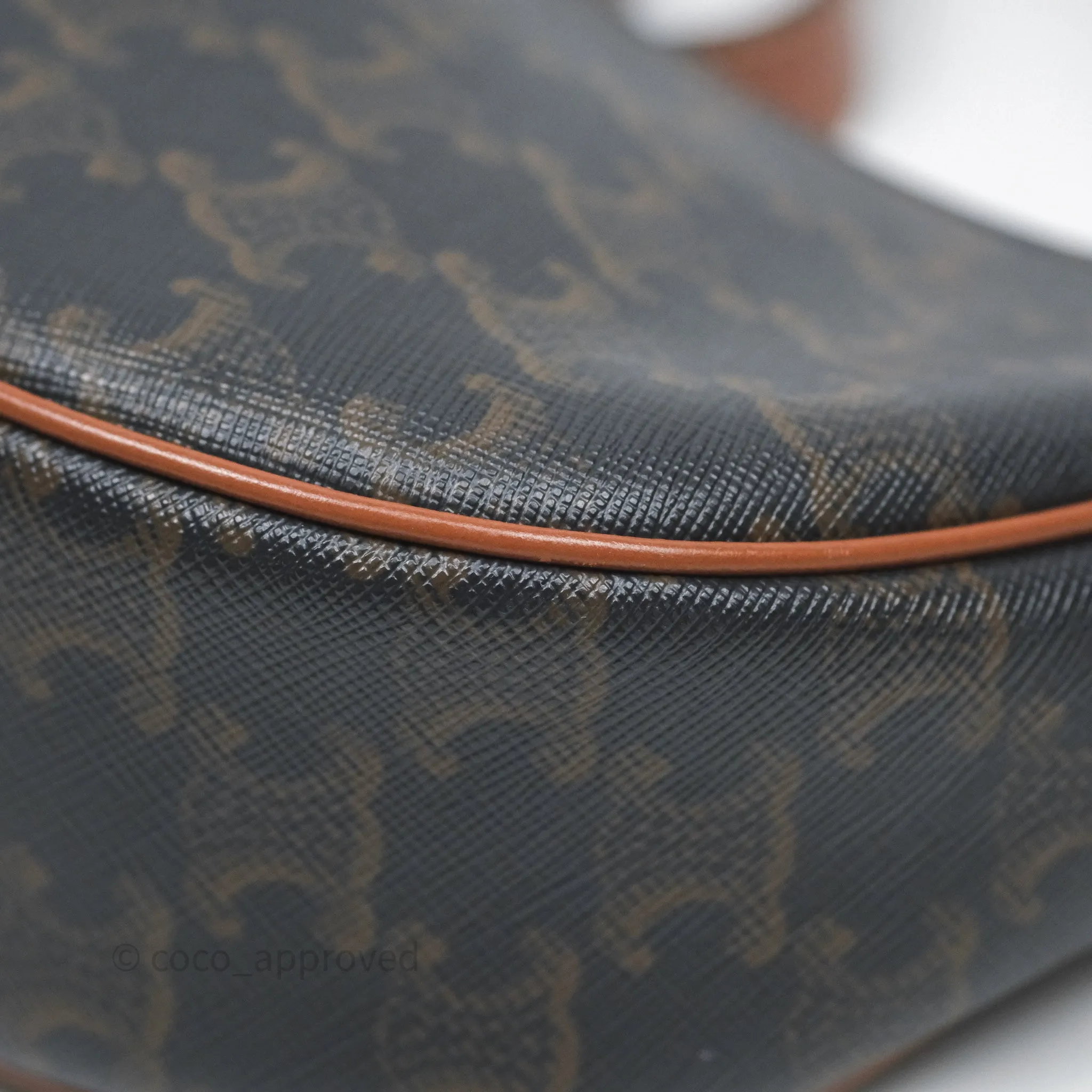 Celine Ava Bag In Triomphe Canvas Calfskin Tan