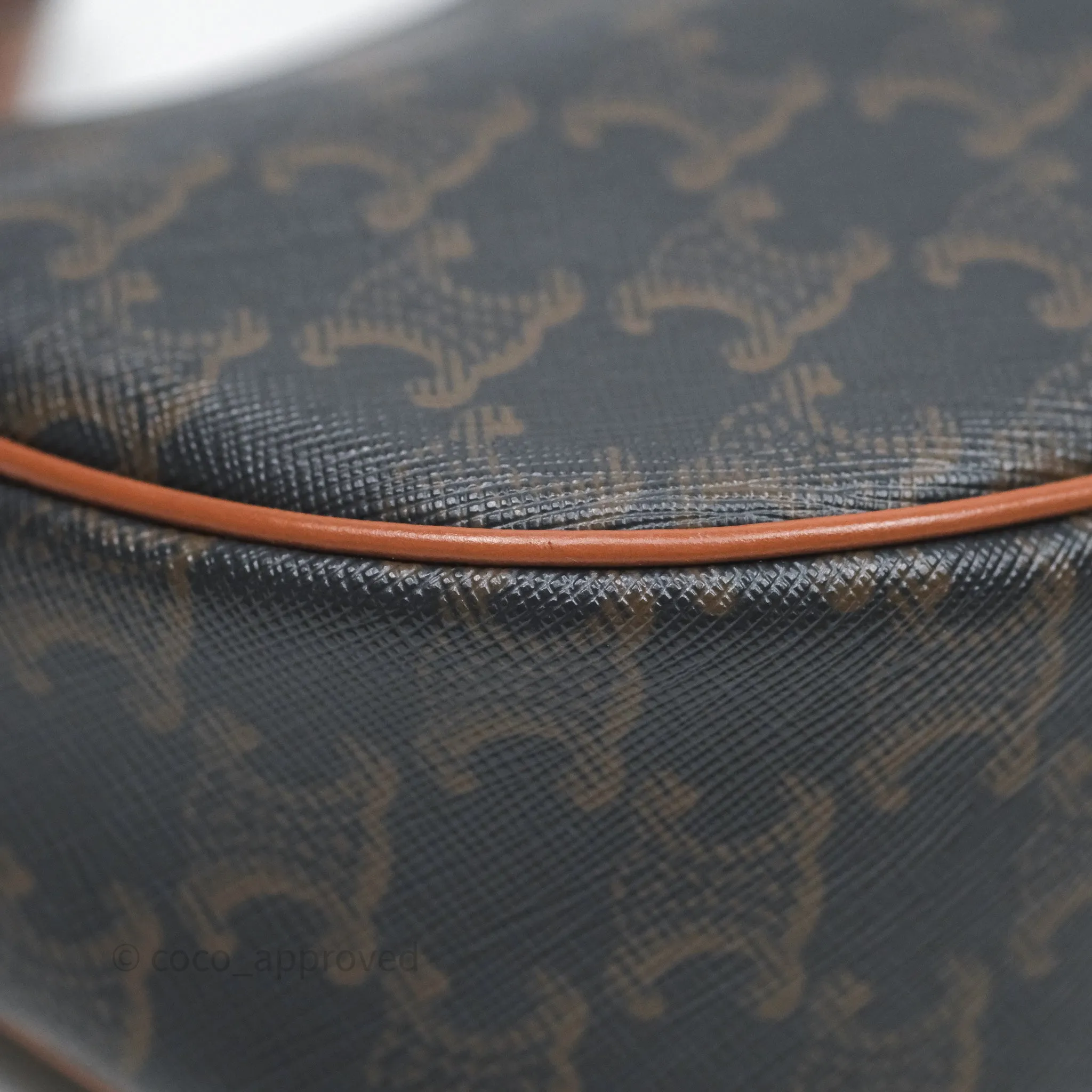 Celine Ava Bag In Triomphe Canvas Calfskin Tan