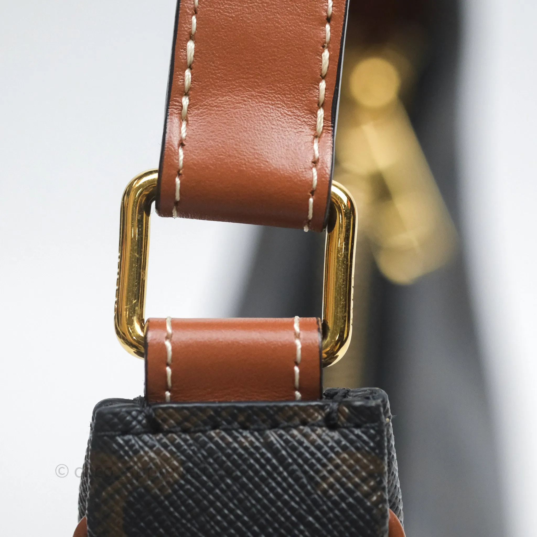 Celine Ava Bag In Triomphe Canvas Calfskin Tan