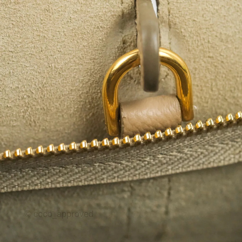 Celine Grained Calfskin Nano Belt Bag Light Taupe Gold Hardware