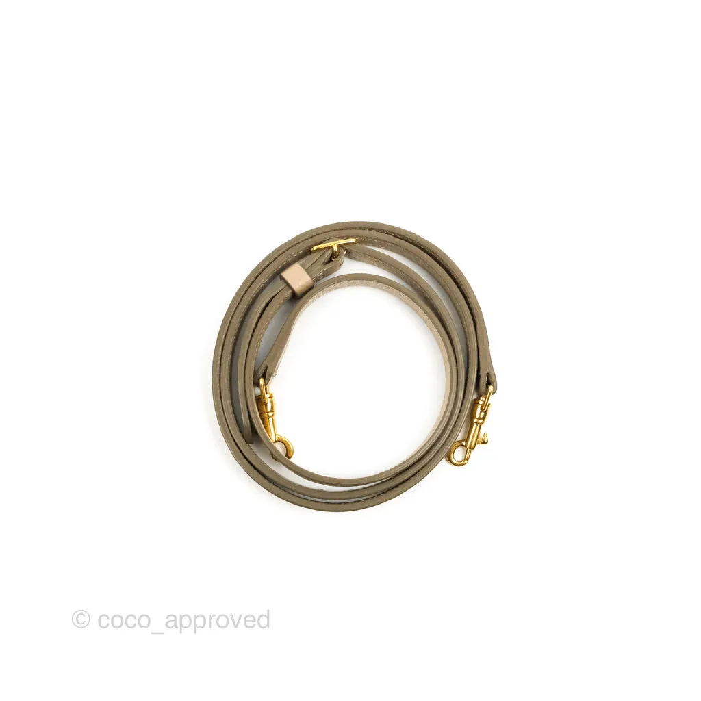 Celine Grained Calfskin Nano Belt Bag Light Taupe Gold Hardware
