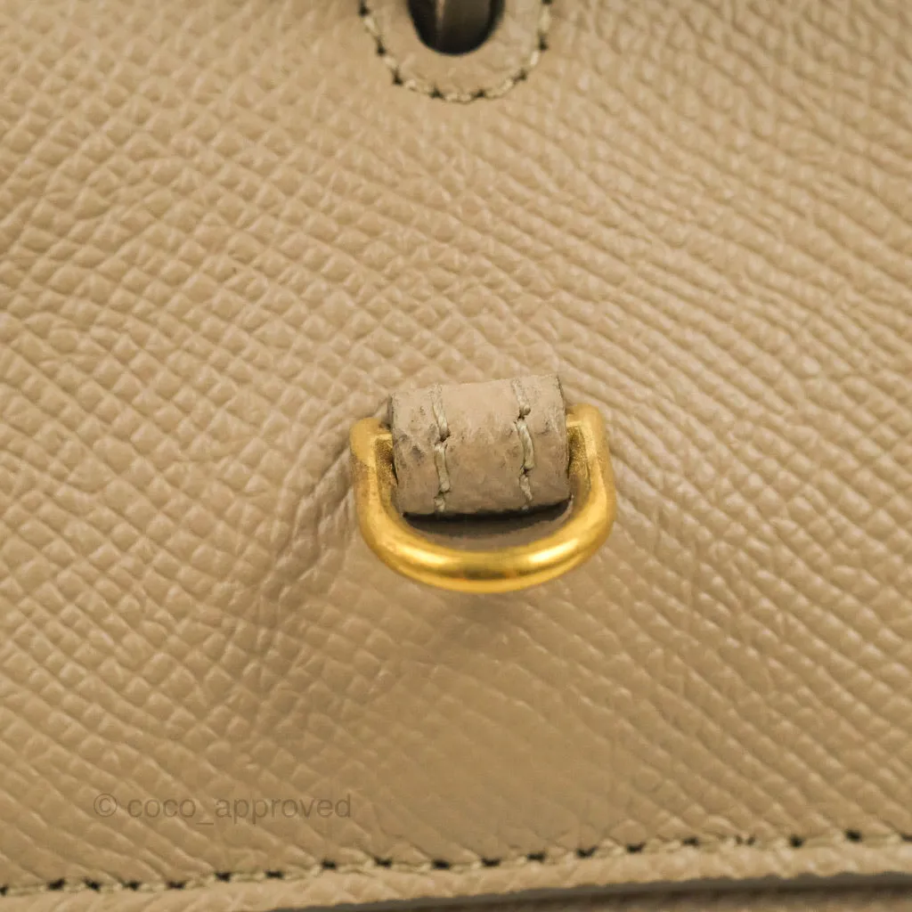 Celine Grained Calfskin Nano Belt Bag Light Taupe Gold Hardware