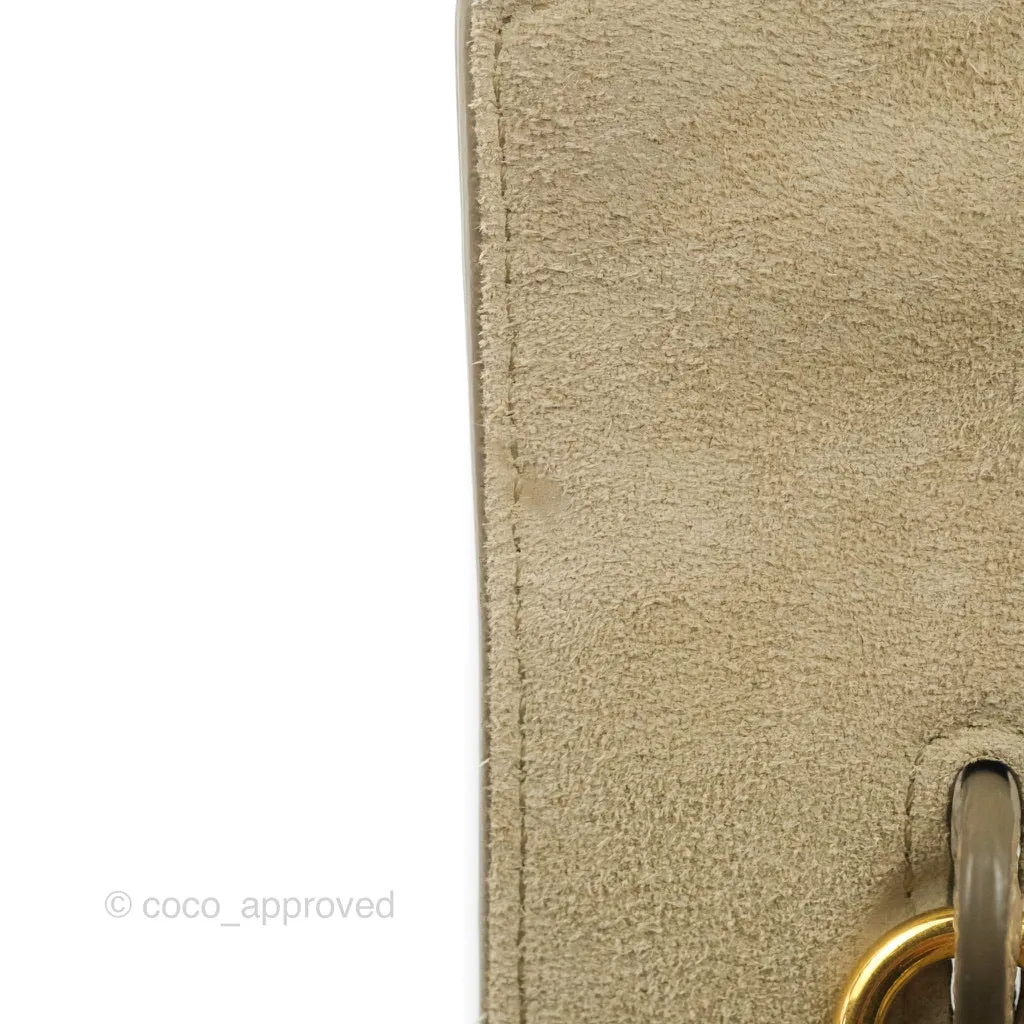 Celine Grained Calfskin Nano Belt Bag Light Taupe Gold Hardware