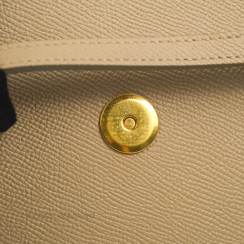 Celine Grained Calfskin Nano Belt Bag Light Taupe Gold Hardware