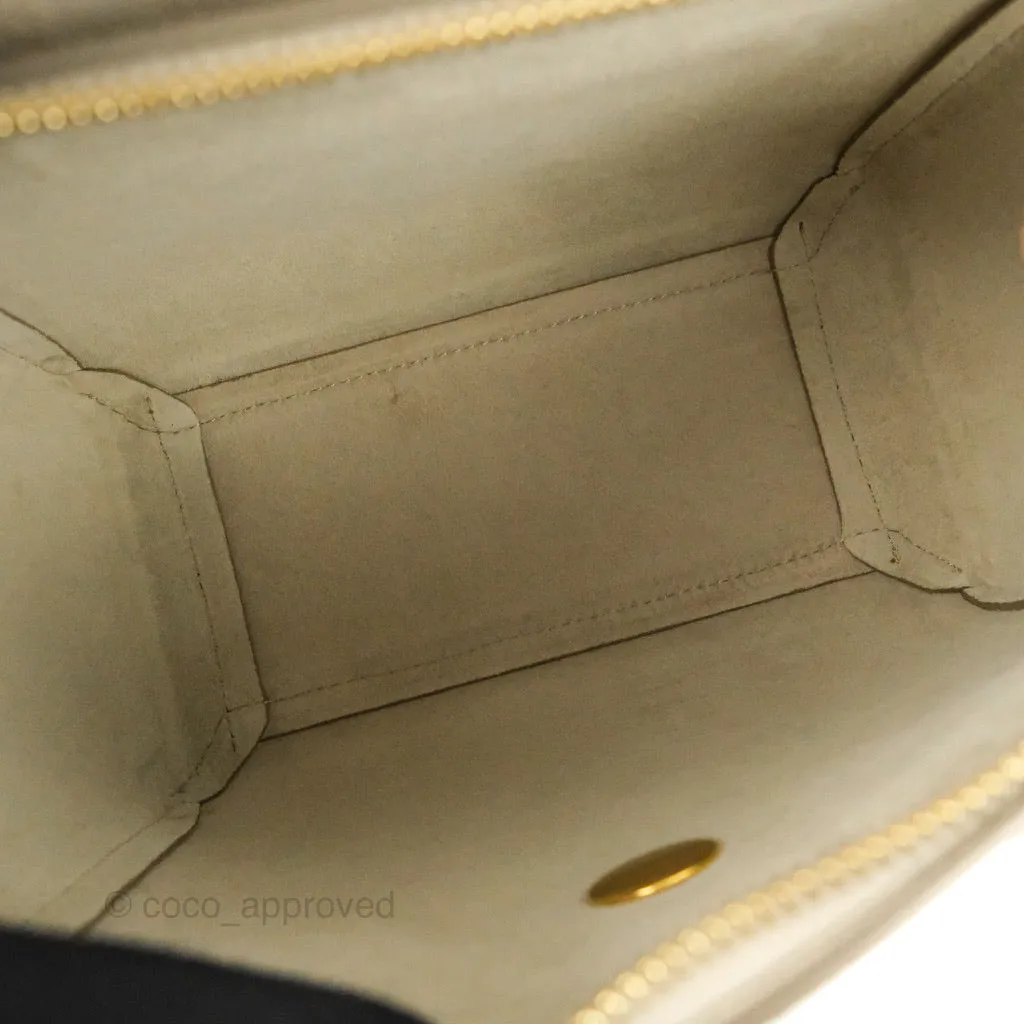 Celine Grained Calfskin Nano Belt Bag Light Taupe Gold Hardware