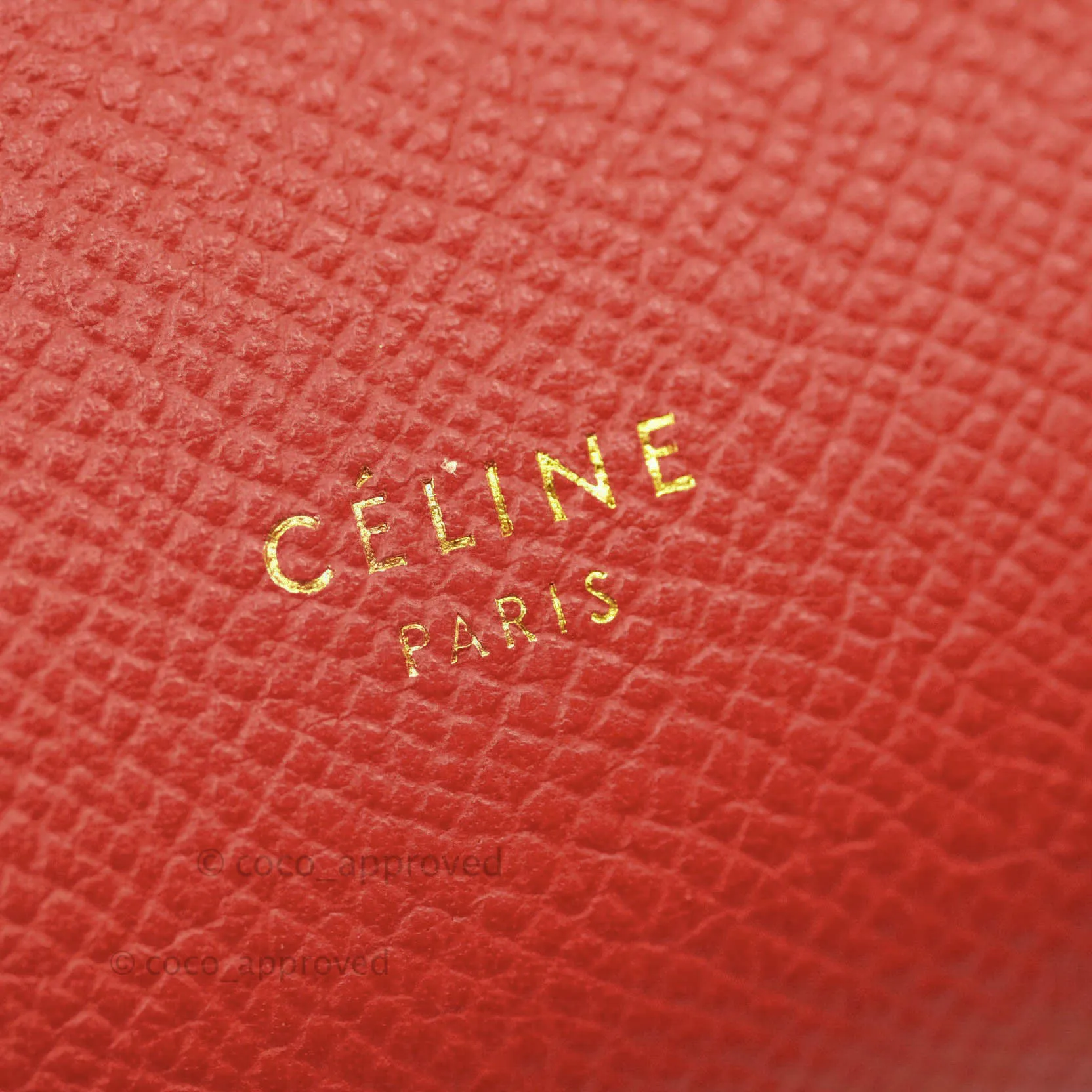Celine Grained Calfskin Nano Belt Bag Red Gold Hardware