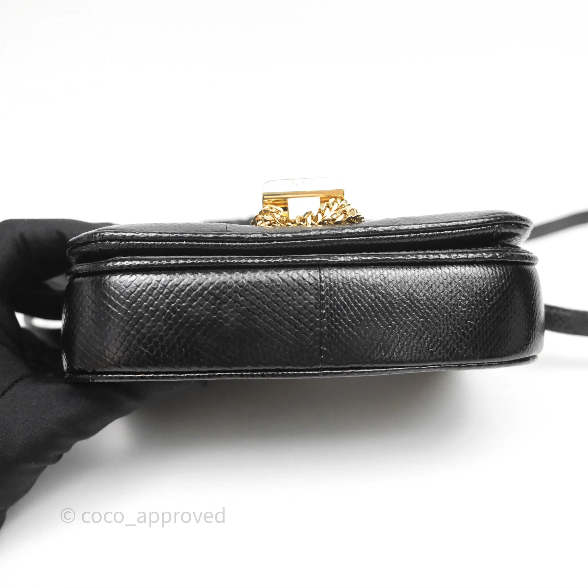 Celine Lizard Small Pampille C Bag Black Gold Hardware
