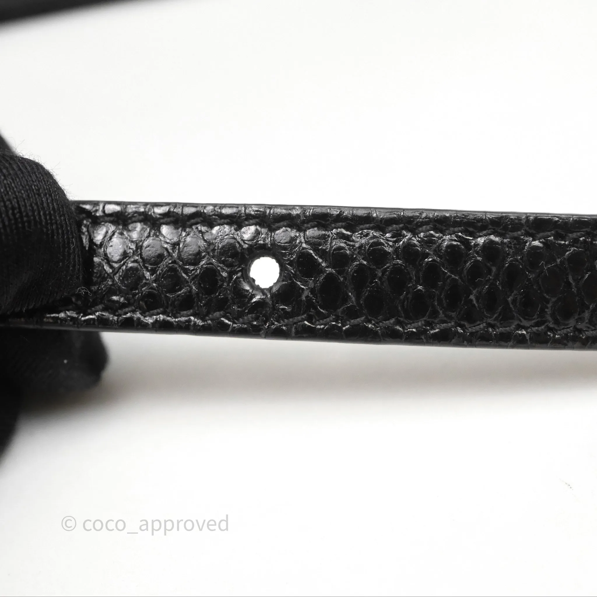 Celine Lizard Small Pampille C Bag Black Gold Hardware