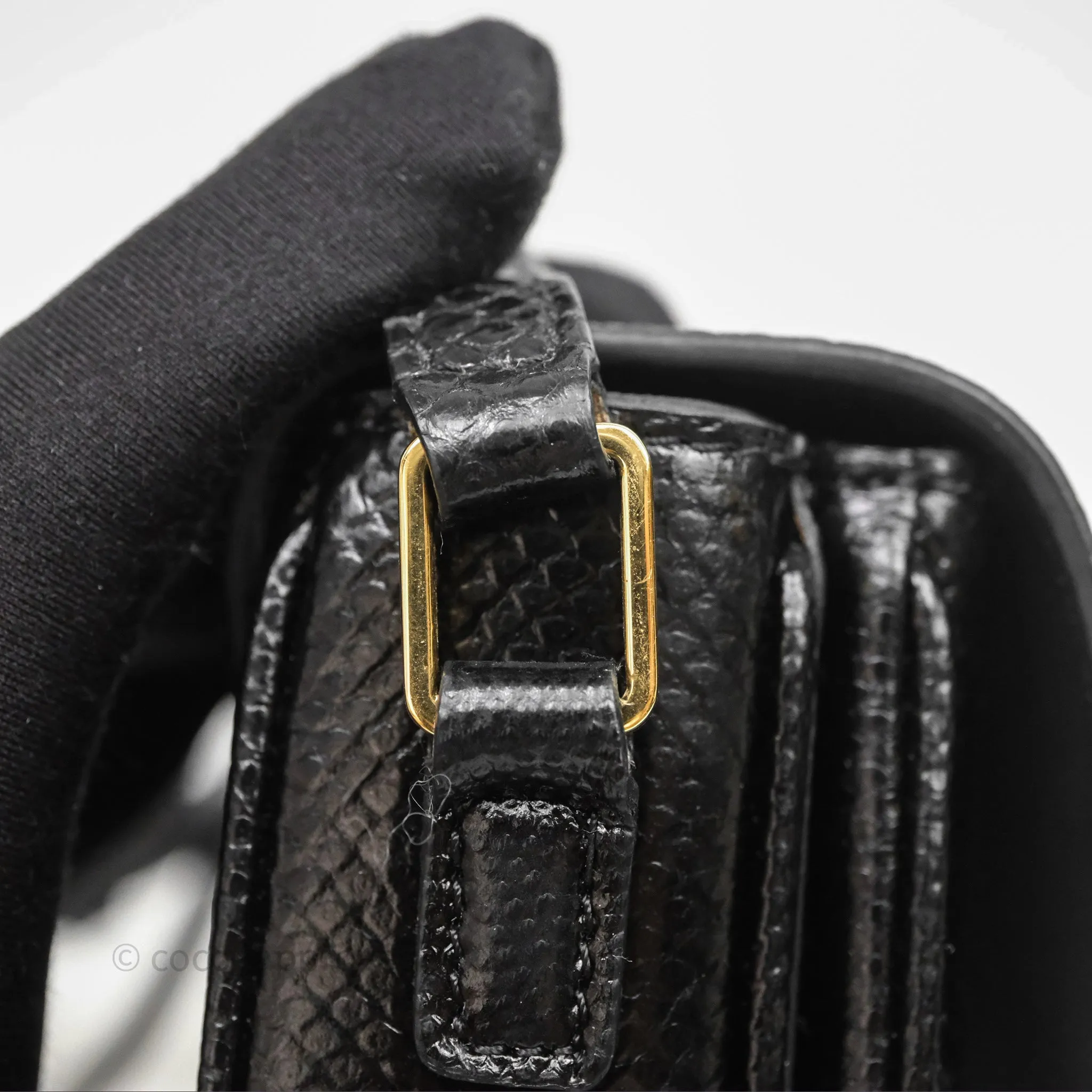 Celine Lizard Small Pampille C Bag Black Gold Hardware
