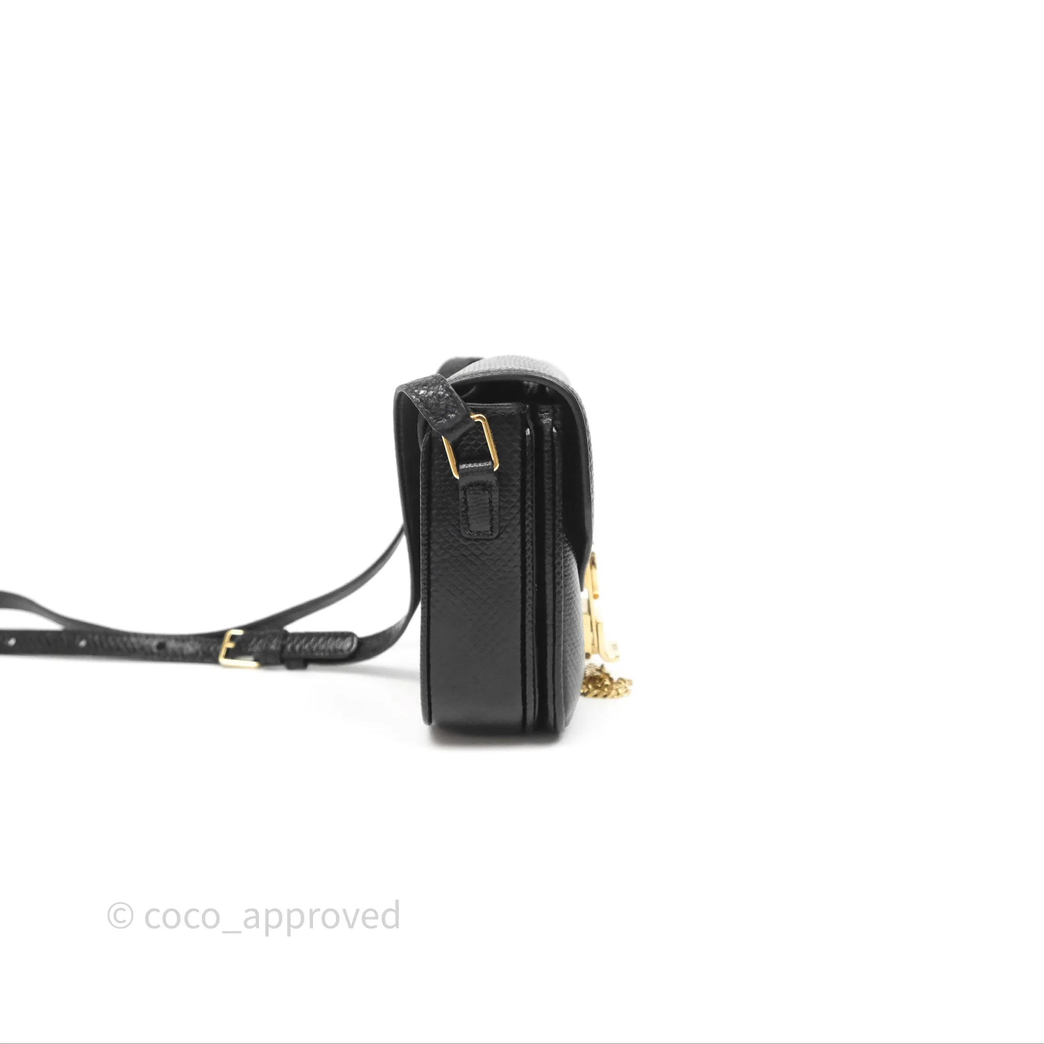 Celine Lizard Small Pampille C Bag Black Gold Hardware