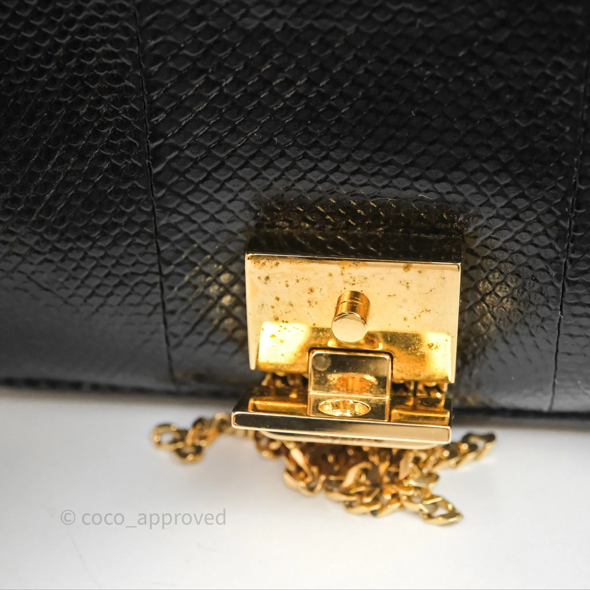 Celine Lizard Small Pampille C Bag Black Gold Hardware