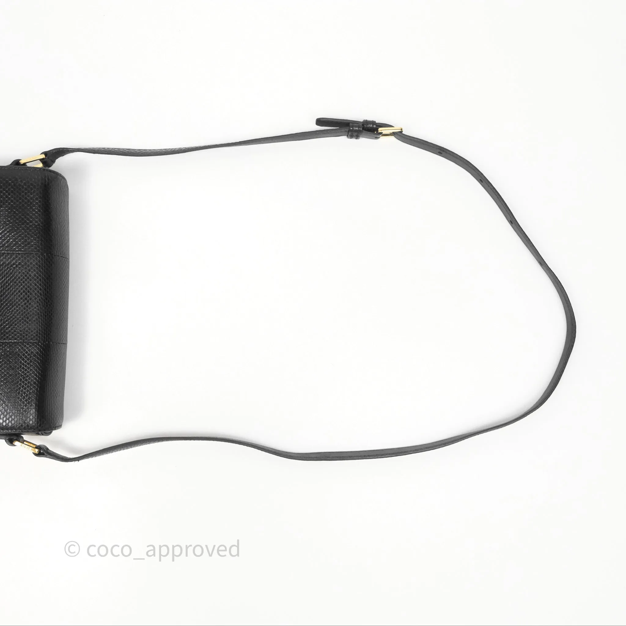 Celine Lizard Small Pampille C Bag Black Gold Hardware