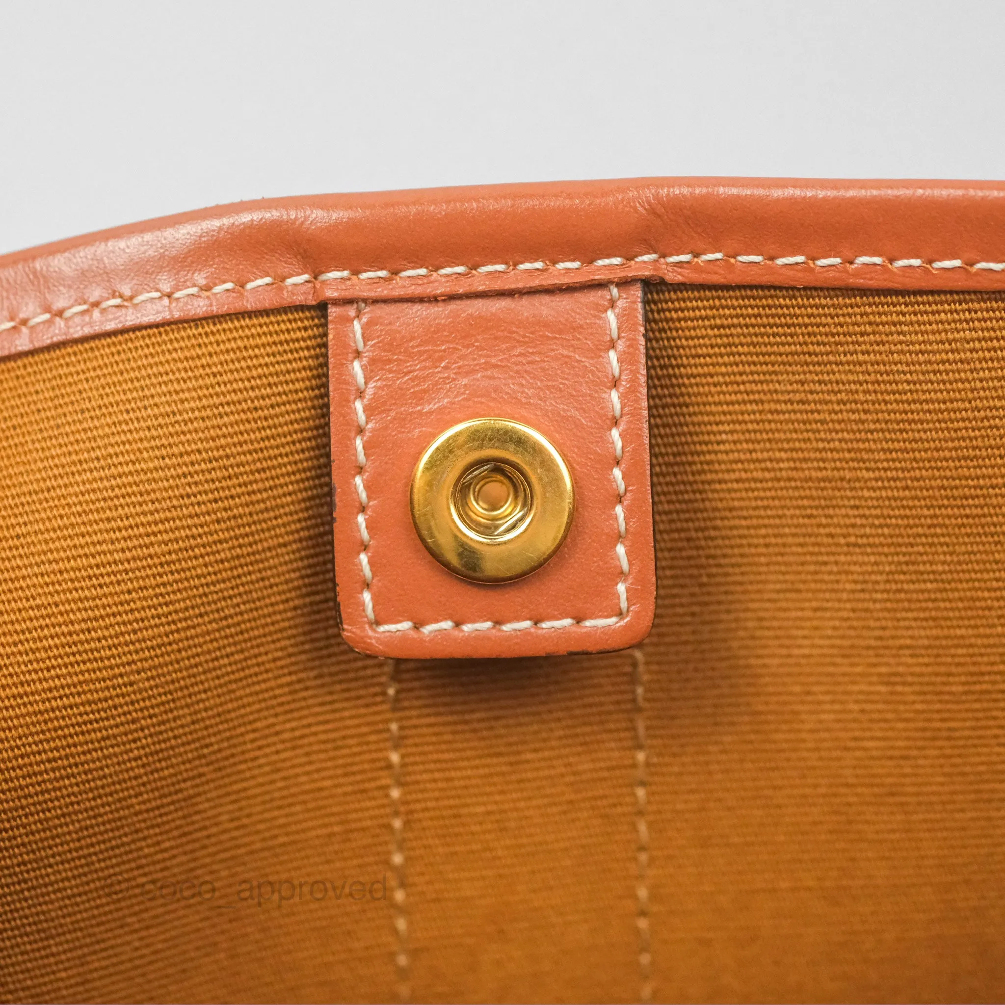 Celine Medium Bucket Bag Triomphe Canvas Tan Calfskin