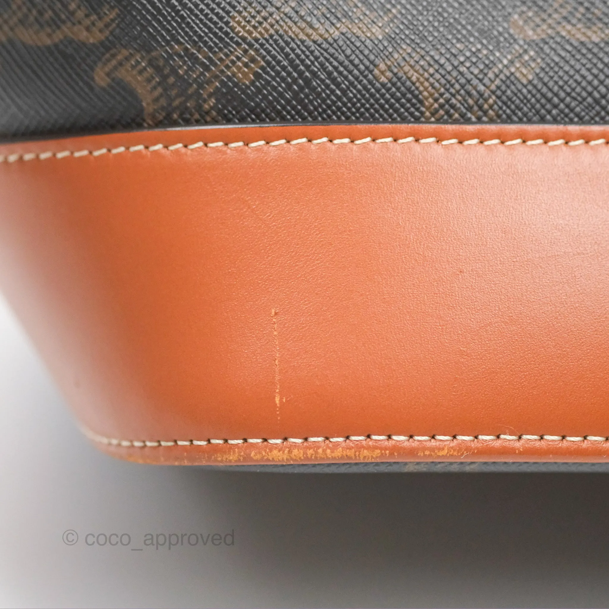 Celine Medium Bucket Bag Triomphe Canvas Tan Calfskin