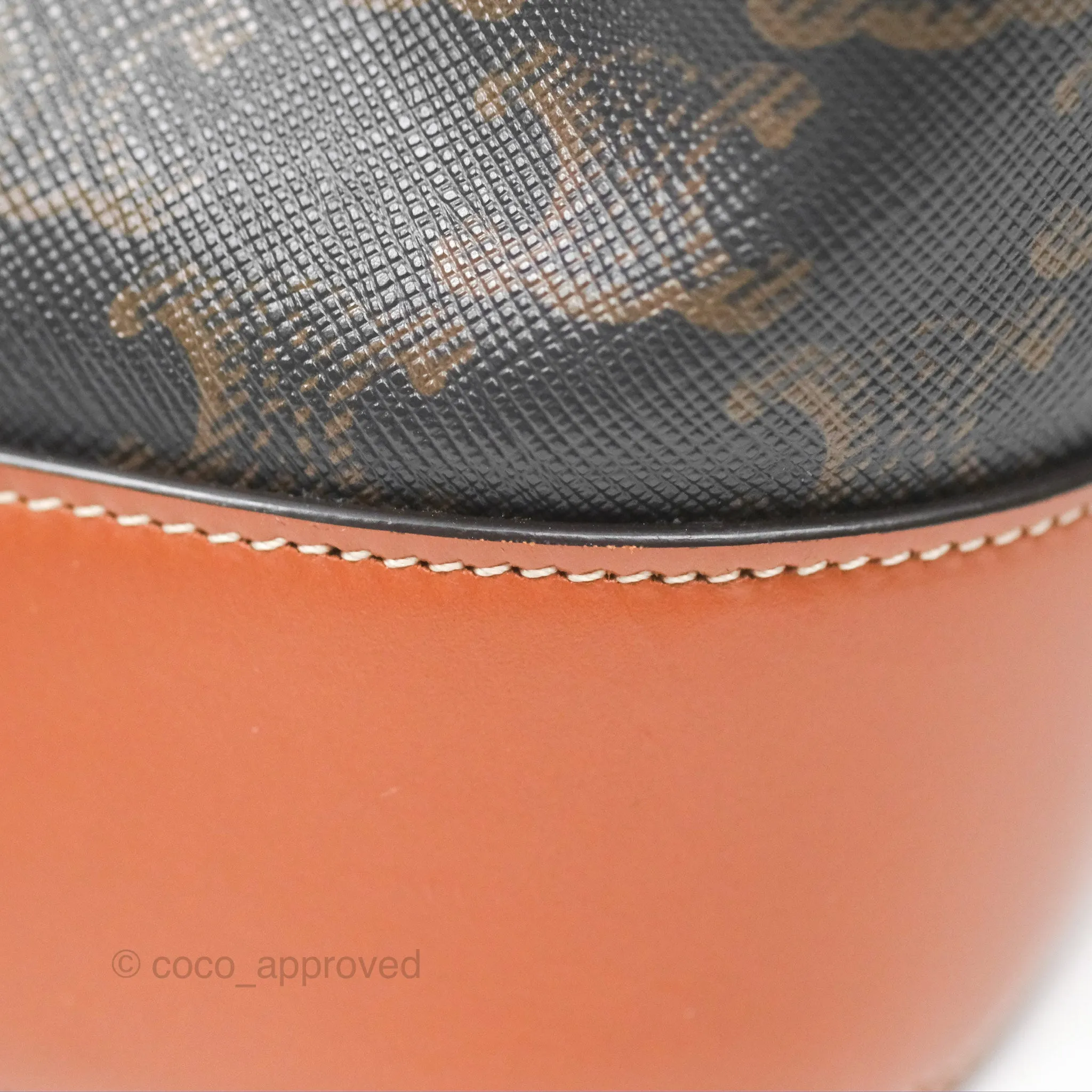 Celine Medium Bucket Bag Triomphe Canvas Tan Calfskin