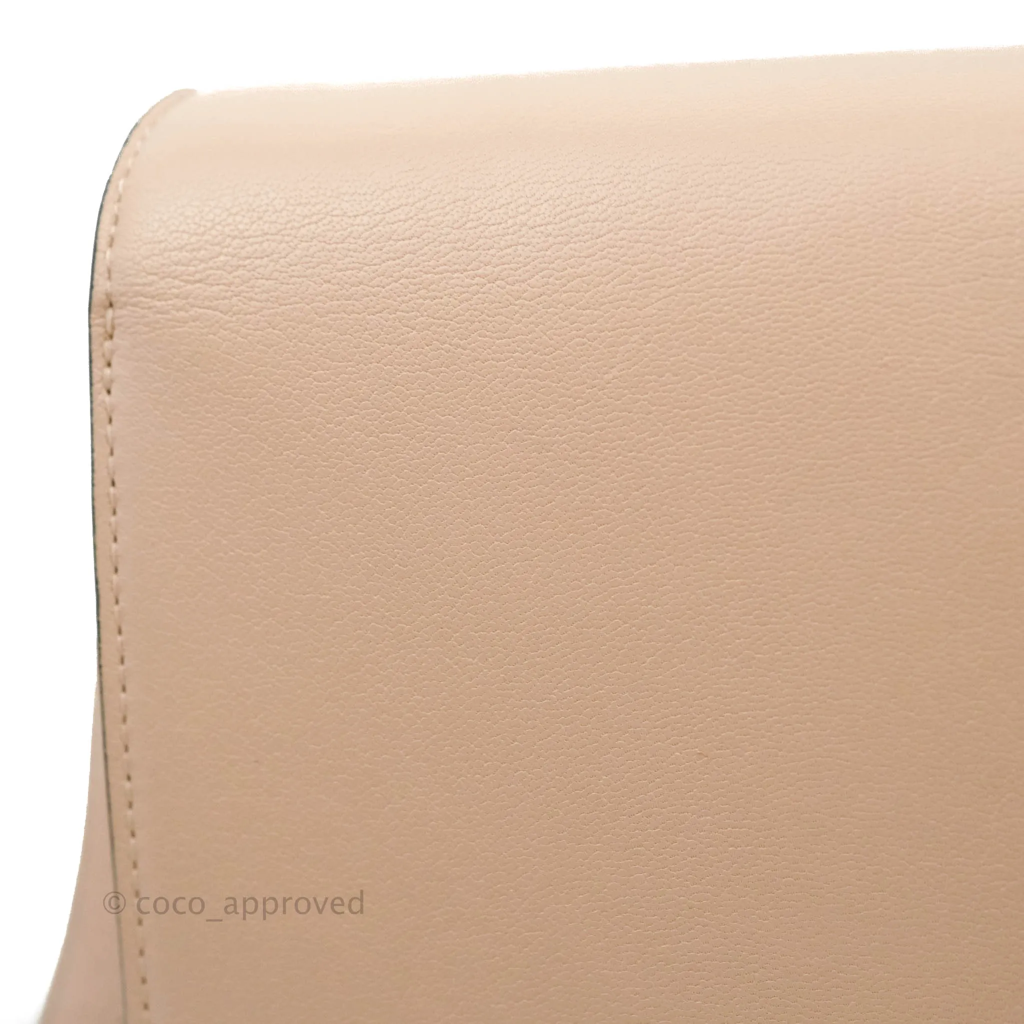 Celine Medium Classic Box Flap Blush Goatskin