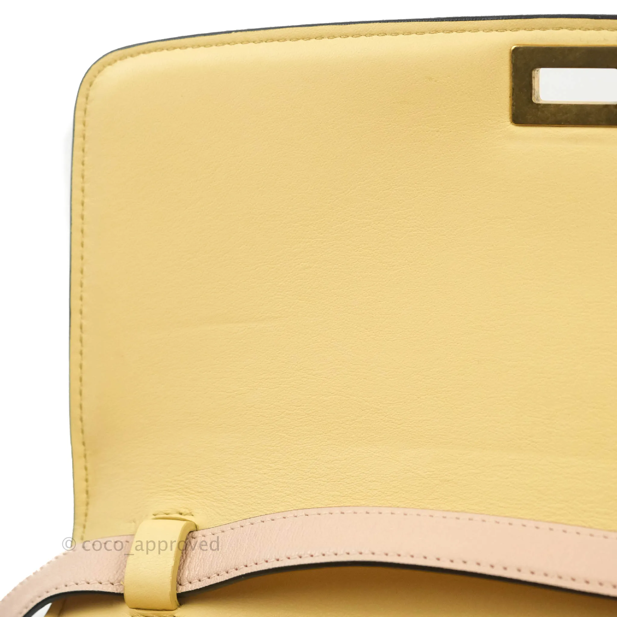 Celine Medium Classic Box Flap Blush Goatskin