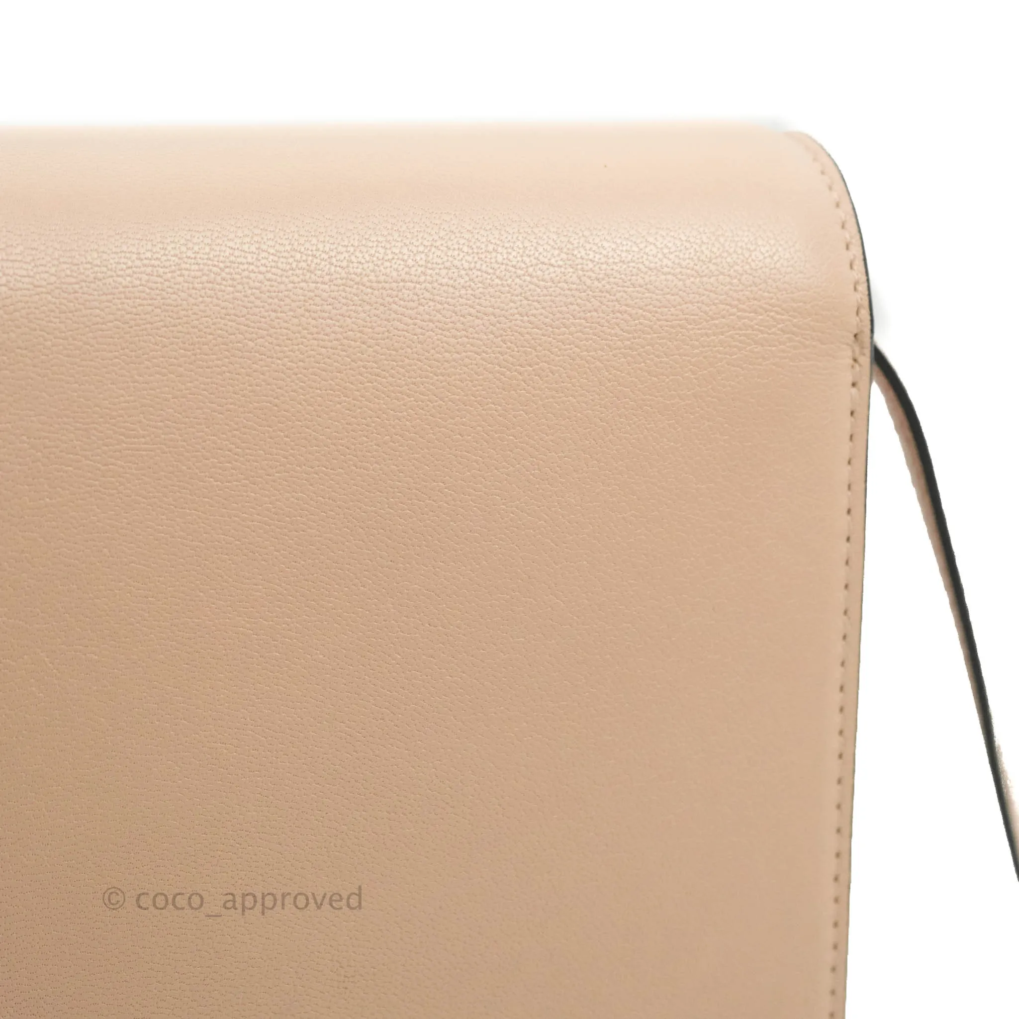 Celine Medium Classic Box Flap Blush Goatskin