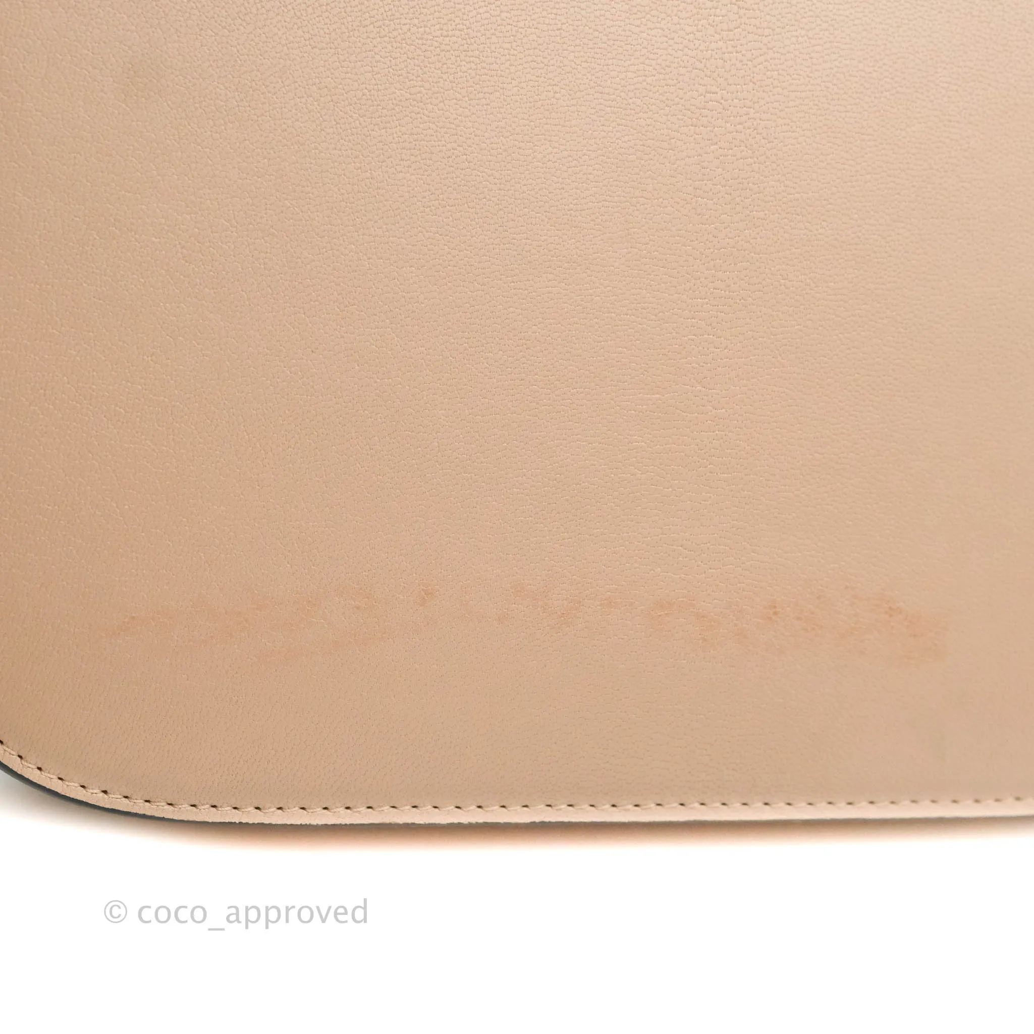 Celine Medium Classic Box Flap Blush Goatskin