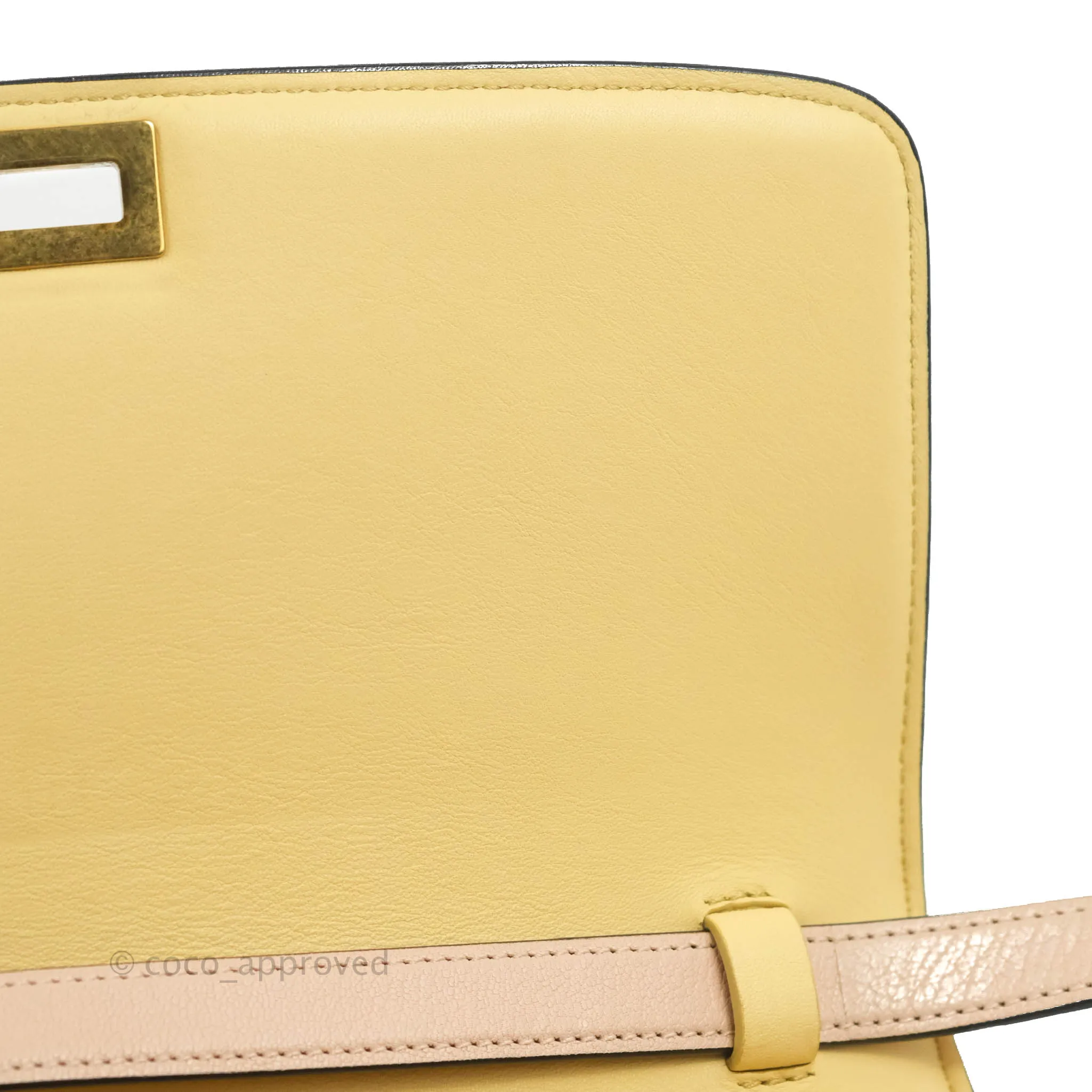 Celine Medium Classic Box Flap Blush Goatskin