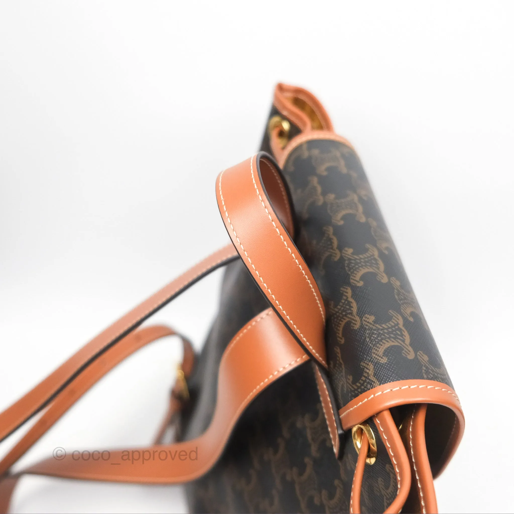 Celine Medium Folco Backpack in Triomphe Canvas Calfskin