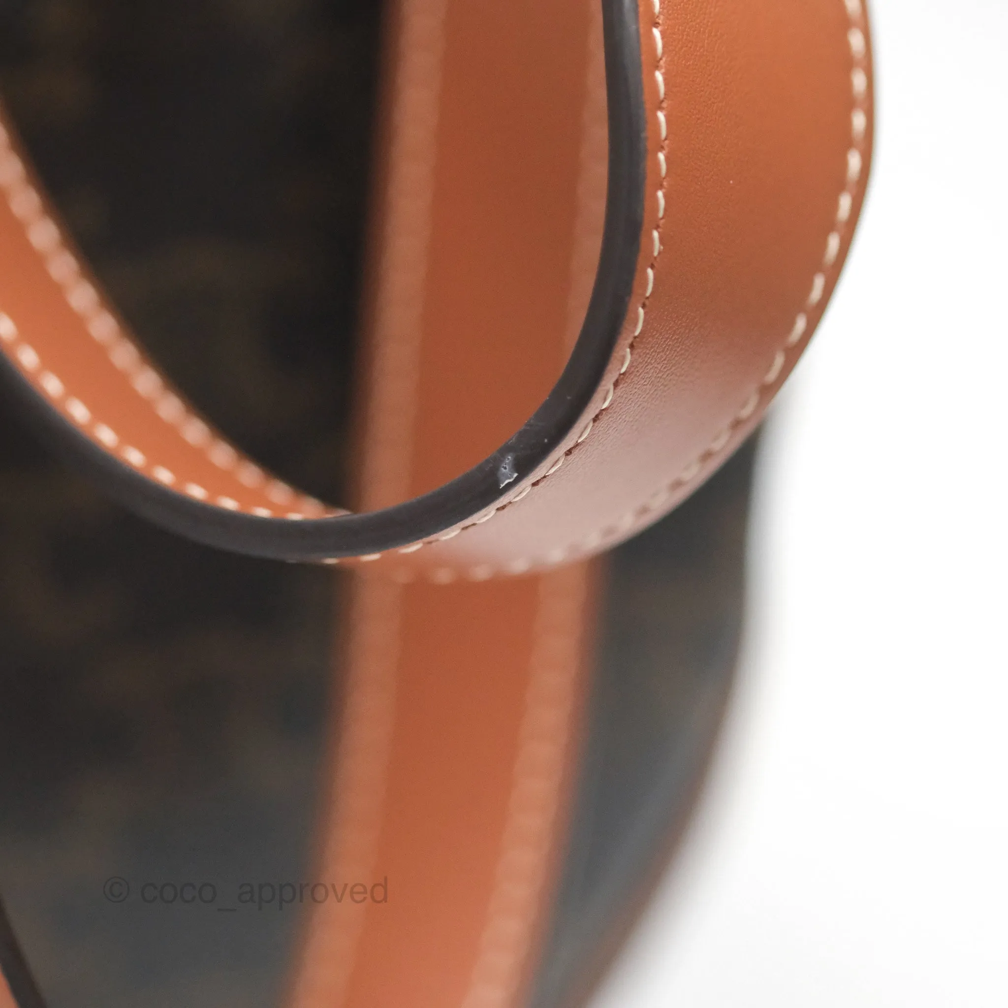 Celine Medium Folco Backpack in Triomphe Canvas Calfskin