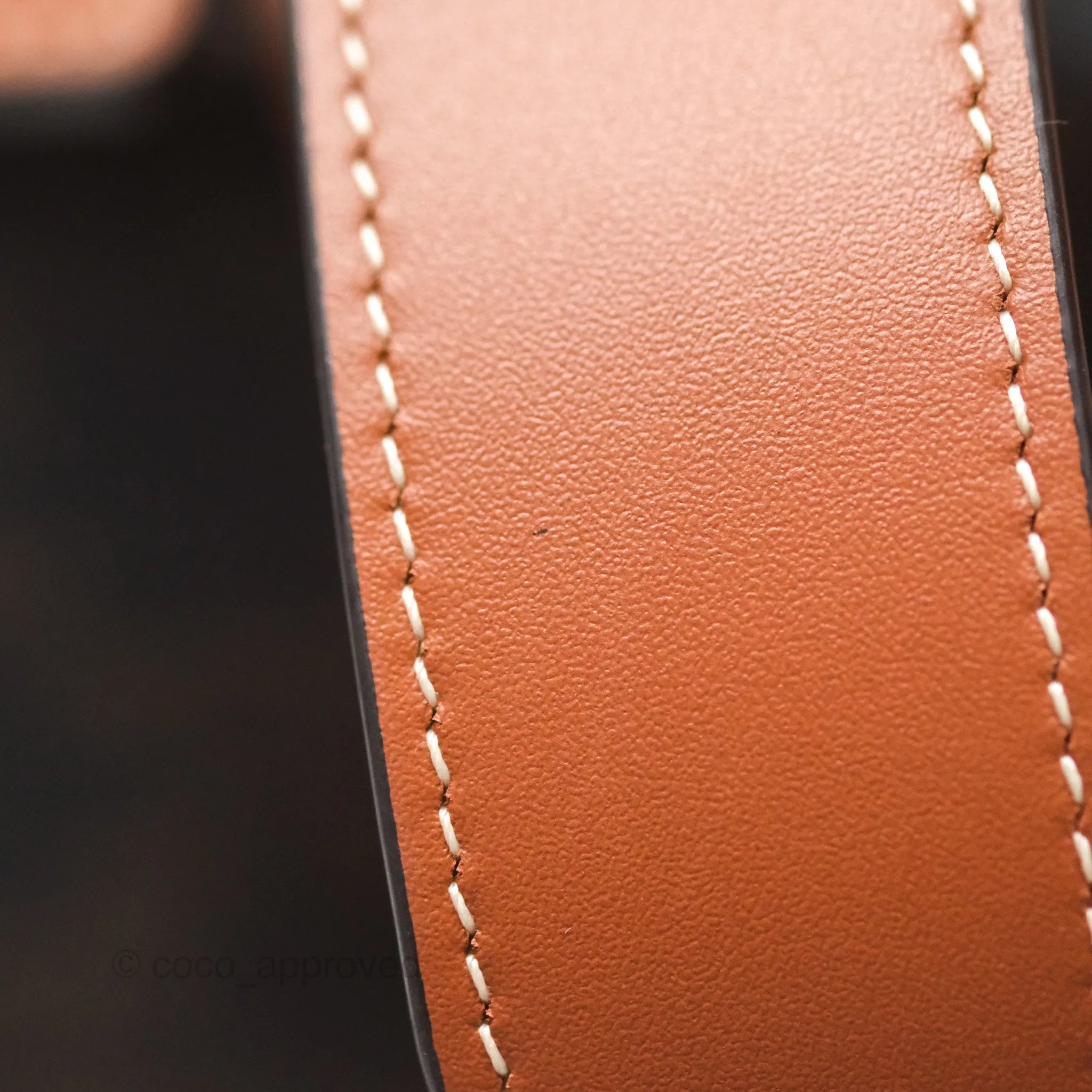 Celine Medium Folco Backpack in Triomphe Canvas Calfskin