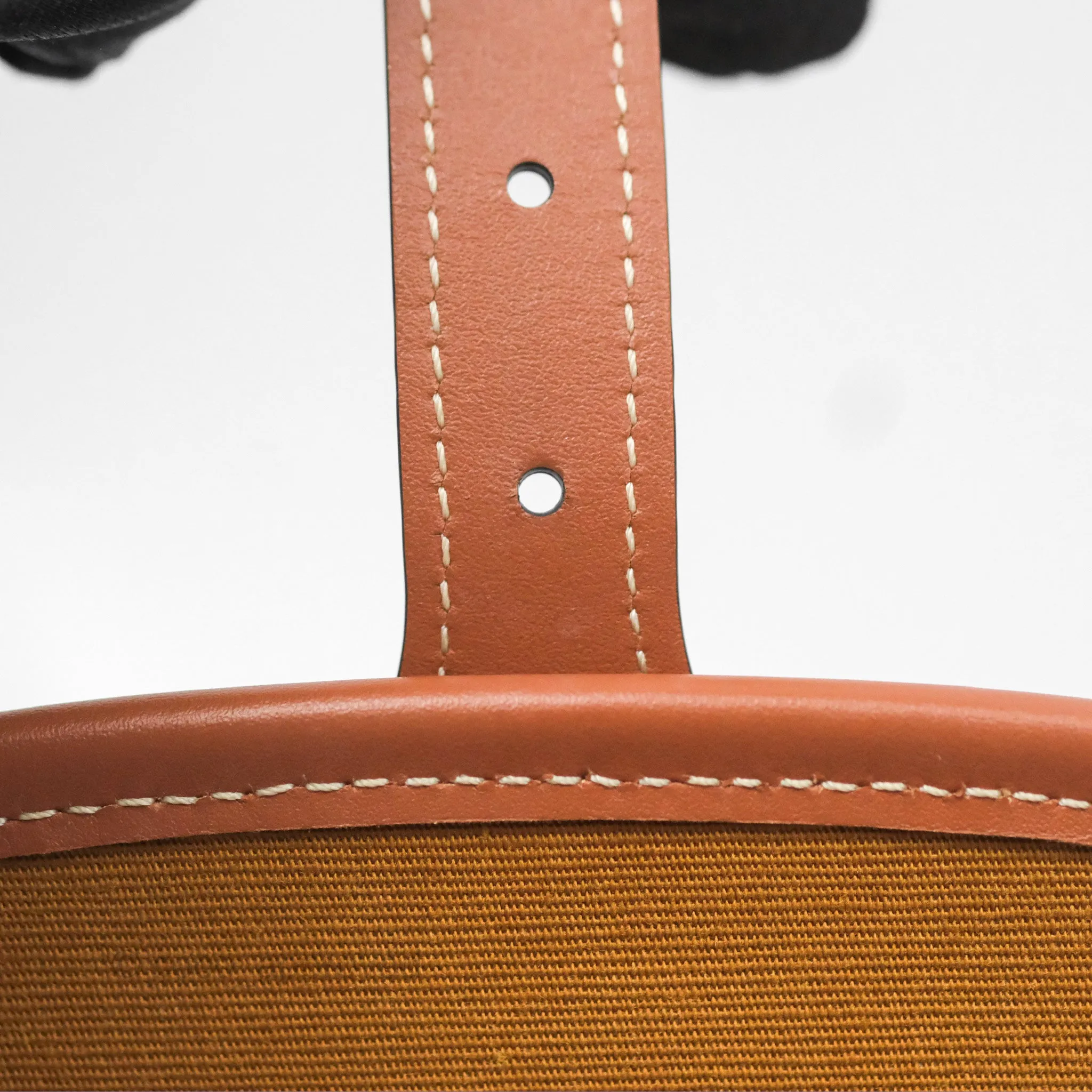 Celine Medium Folco Bag Triomphe Canvas Tan
