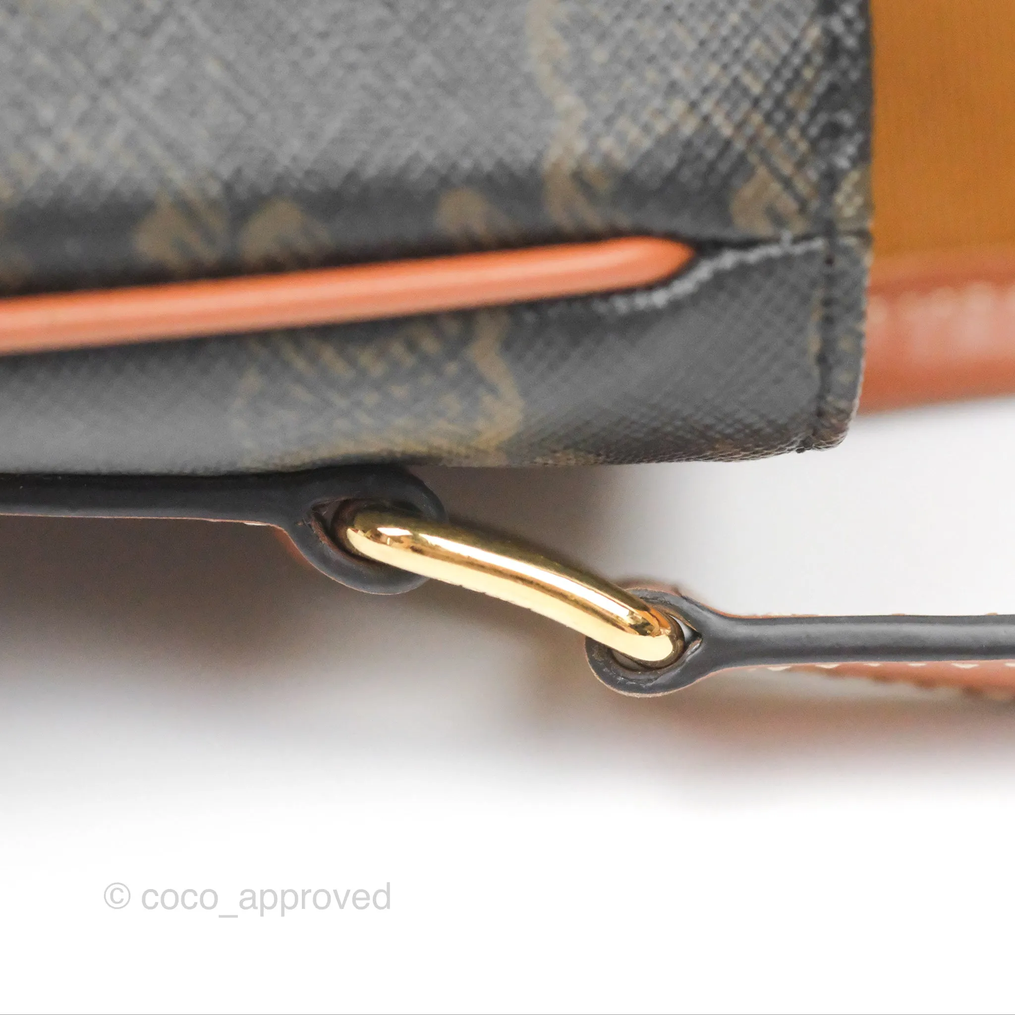 Celine Medium Folco Bag Triomphe Canvas Tan