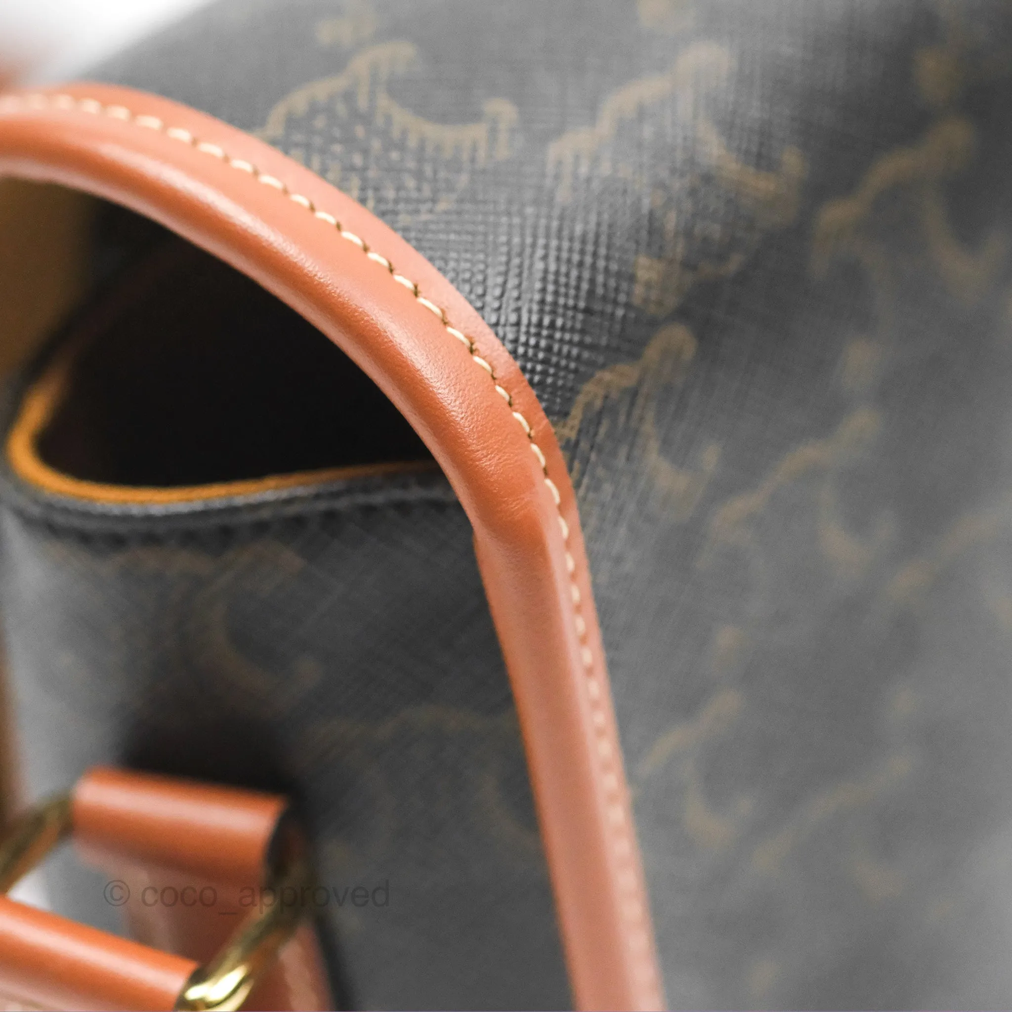 Celine Medium Folco Bag Triomphe Canvas Tan