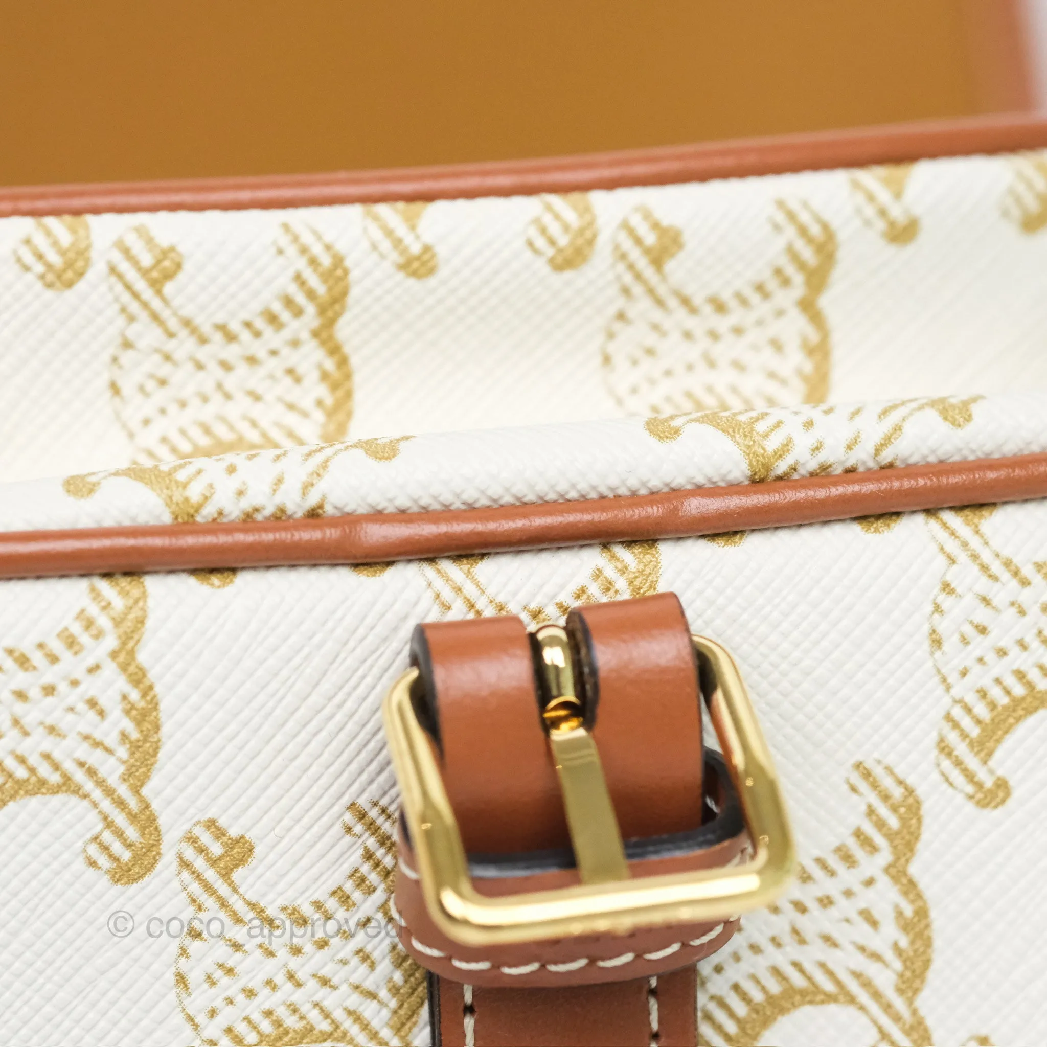 Celine Medium Folco Bag Triomphe Canvas White