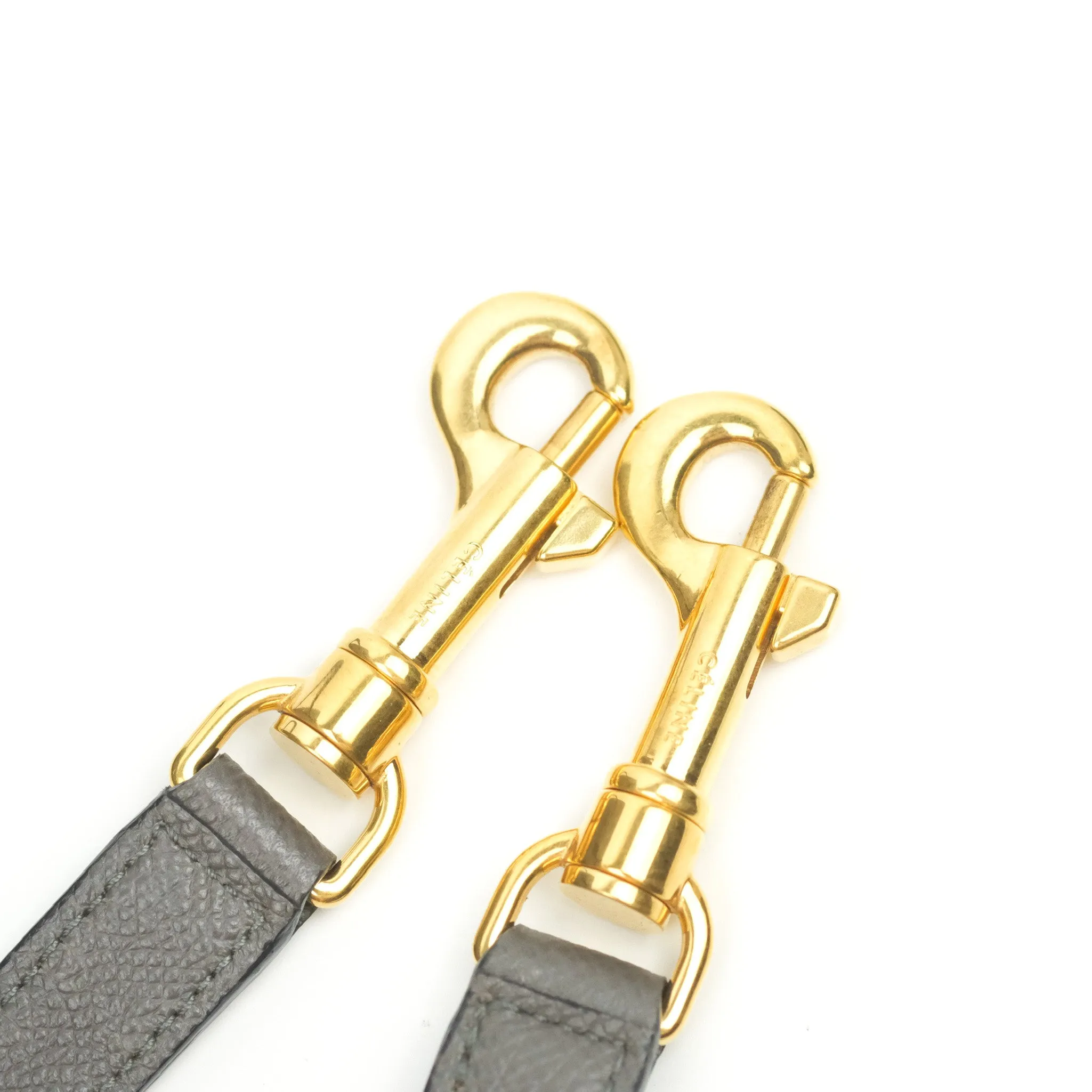 Celine Micro Belt Bag Grey Grained Calfskin Gold Hardware