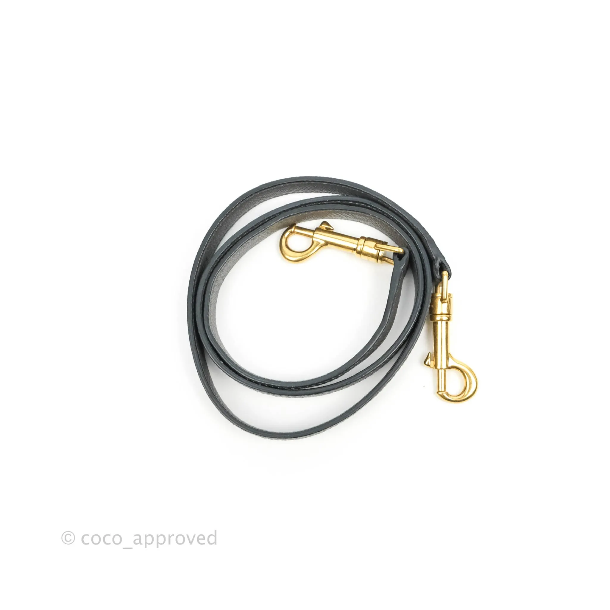 Celine Micro Belt Bag Grey Grained Calfskin Gold Hardware