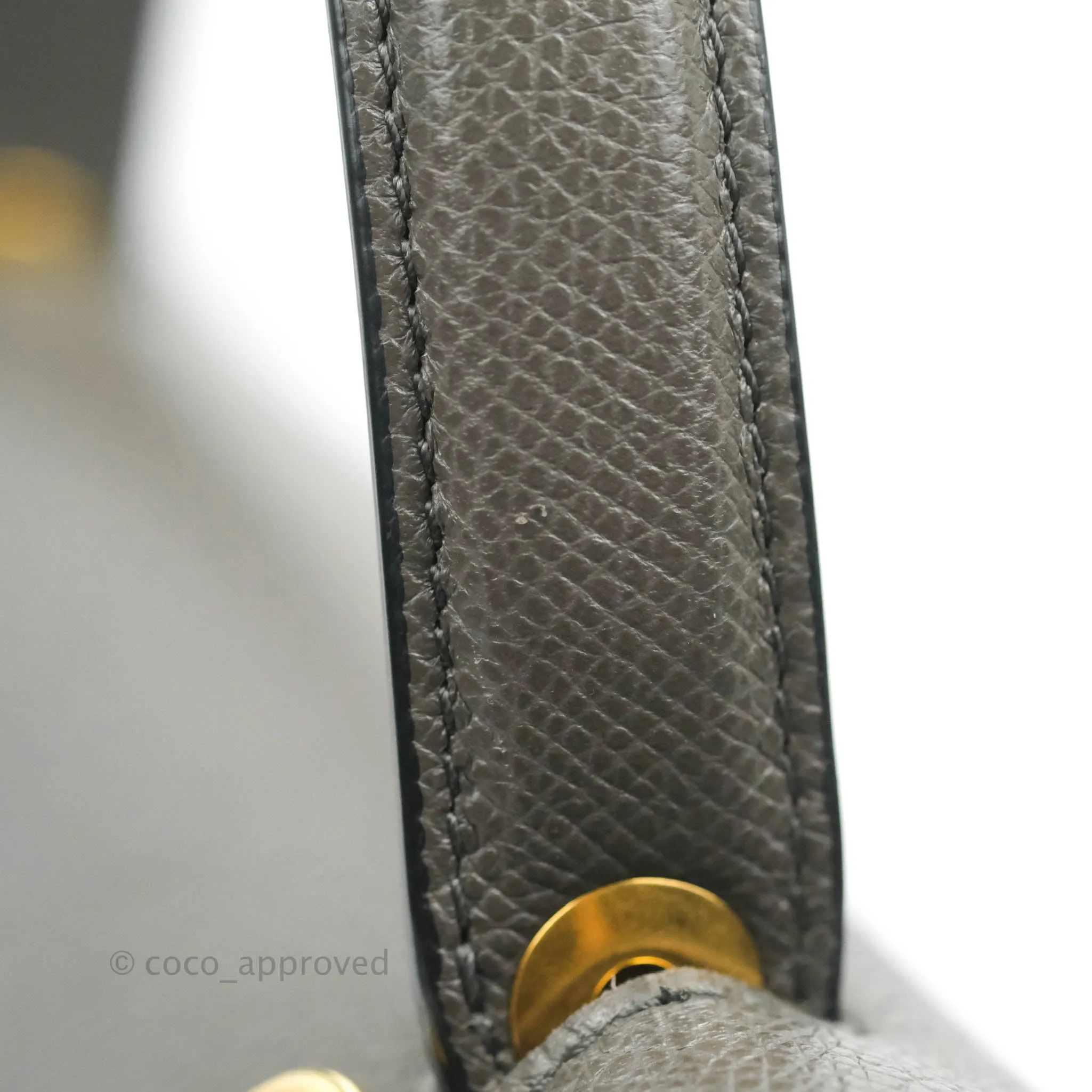Celine Micro Belt Bag Grey Grained Calfskin Gold Hardware