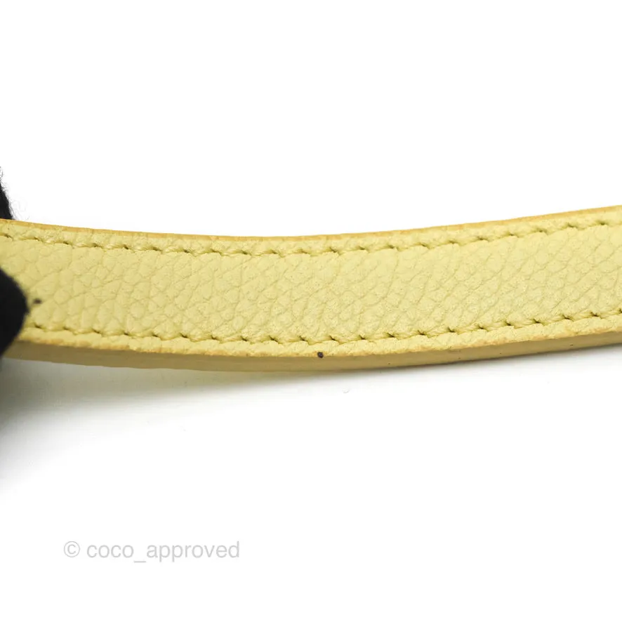 Celine Micro Belt Bag Yellow Grained Calfskin Silver Hardware