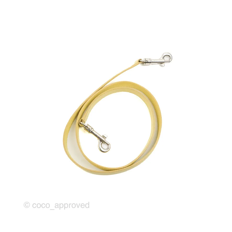 Celine Micro Belt Bag Yellow Grained Calfskin Silver Hardware
