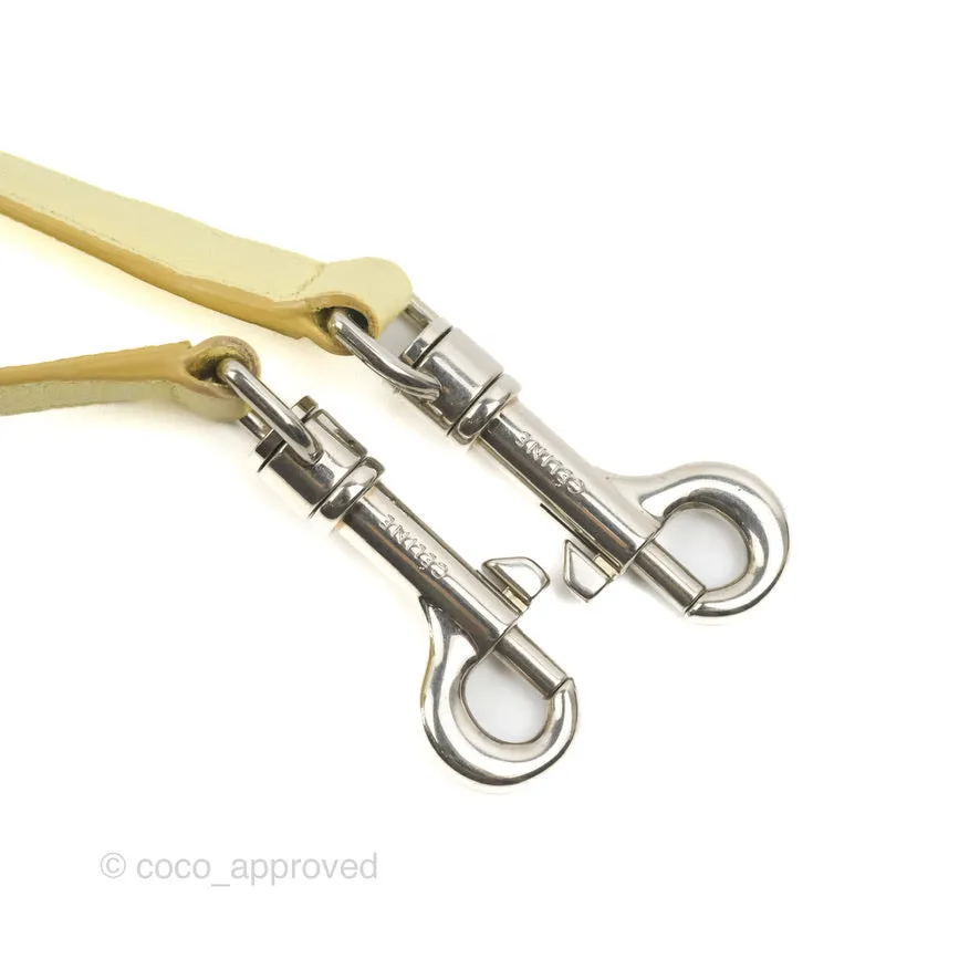 Celine Micro Belt Bag Yellow Grained Calfskin Silver Hardware