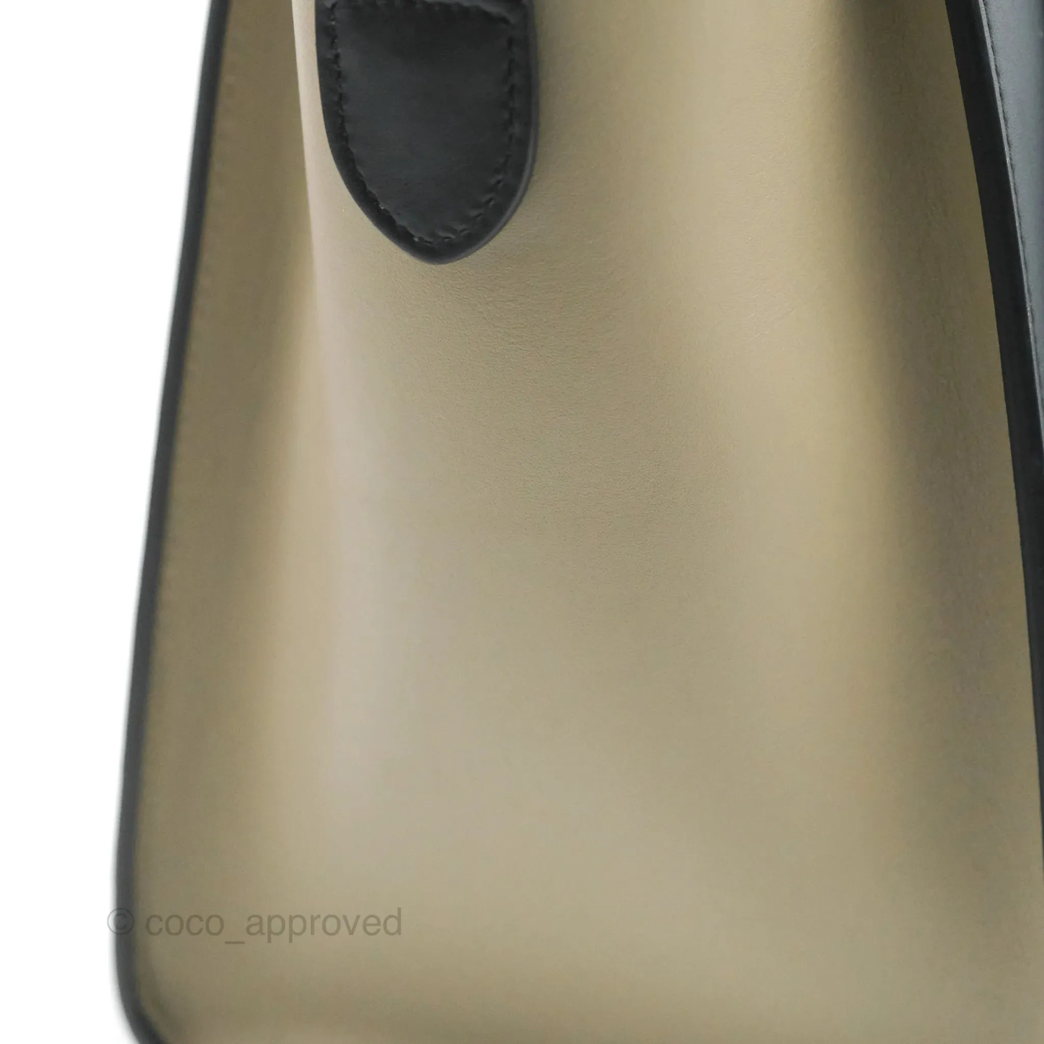 Celine Micro Luggage Bag Taupe/Blue/Black Calfskin