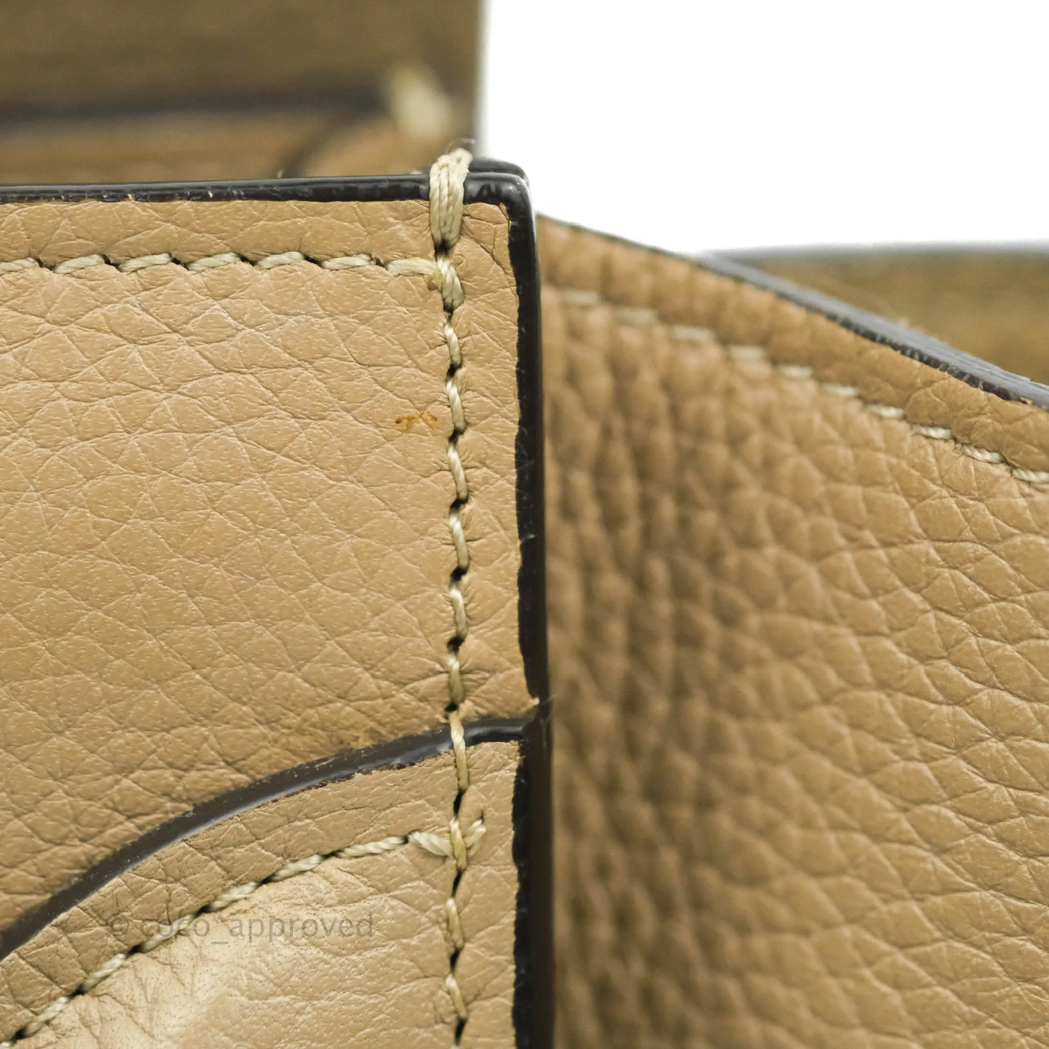 Celine Micro Luggage Handbag Dune Grained Calfskin
