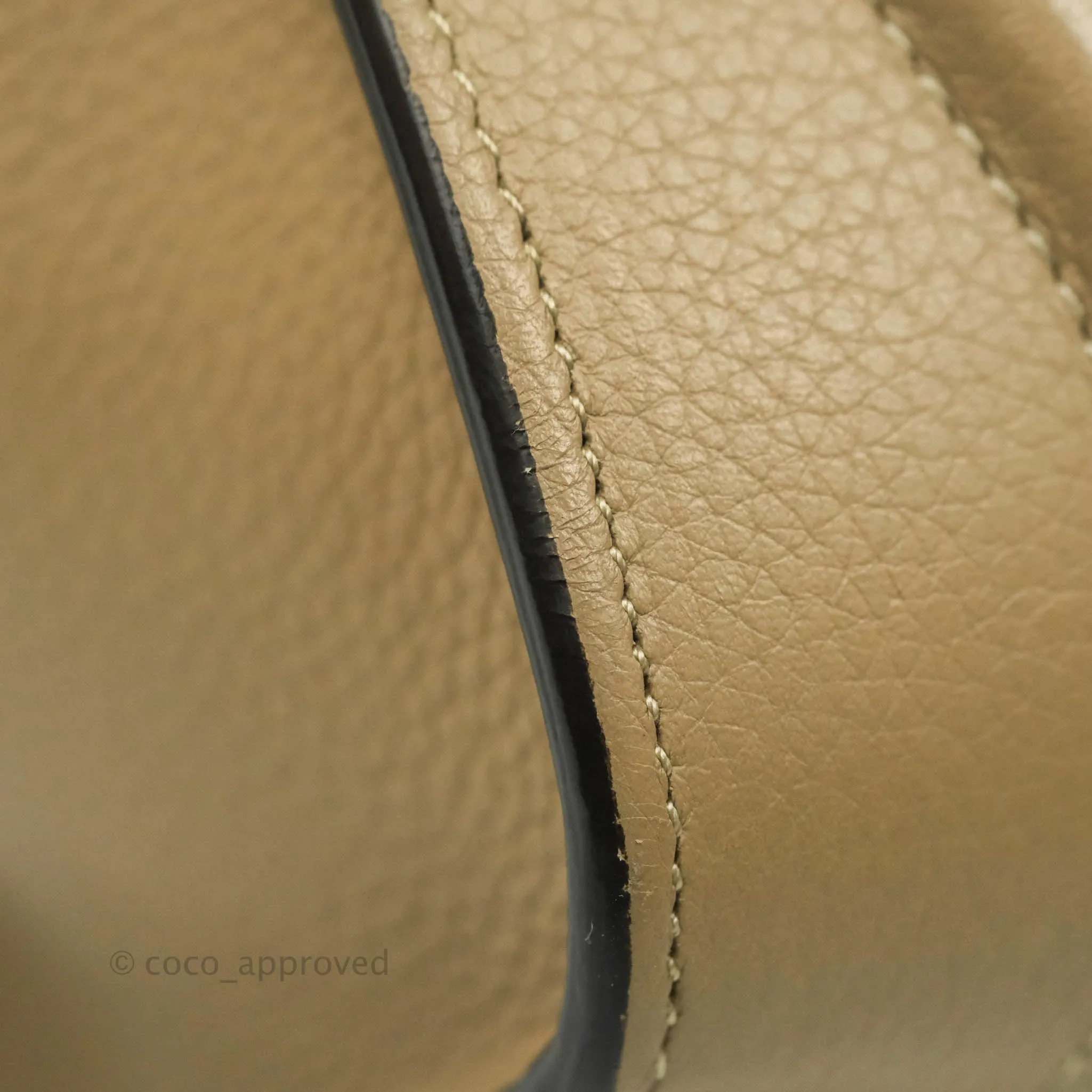 Celine Micro Luggage Handbag Dune Grained Calfskin