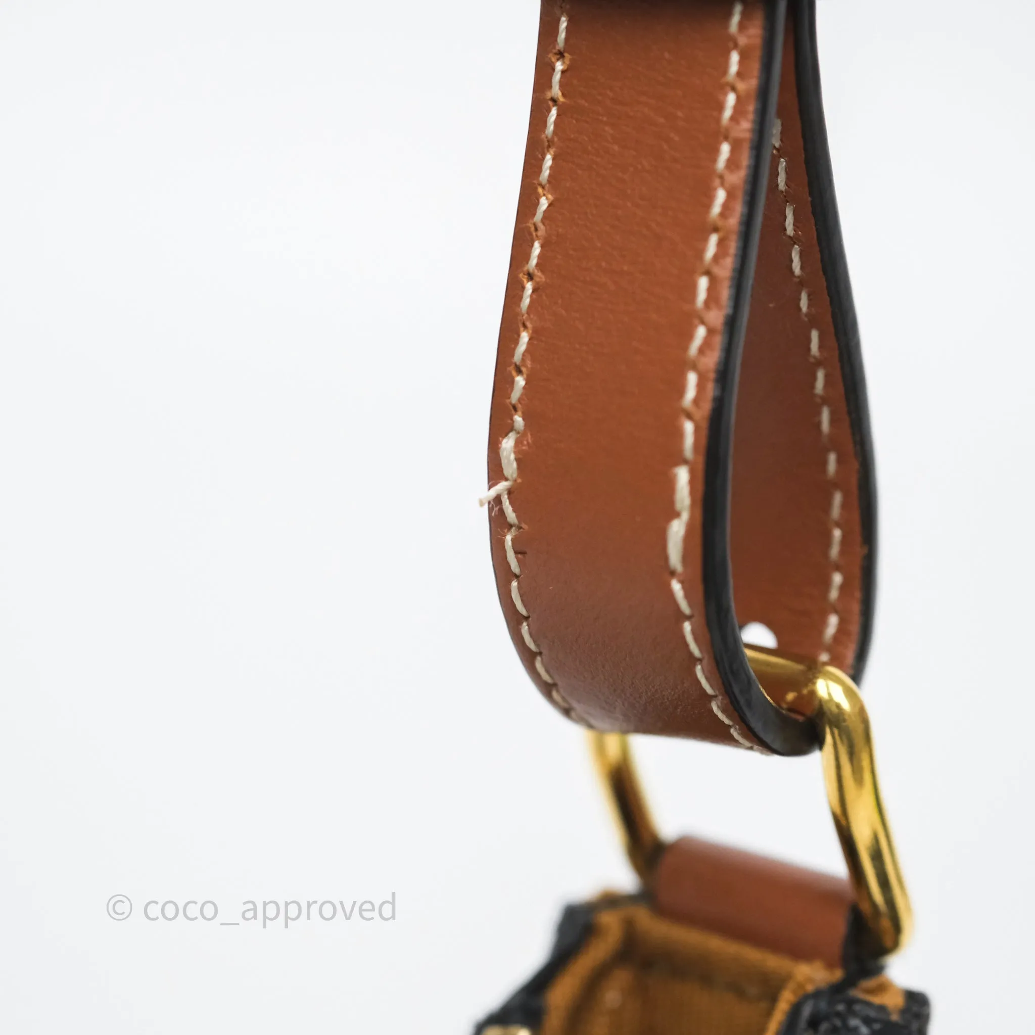 Celine Mini Ava Bag In Triomphe Canvas Calfskin Tan