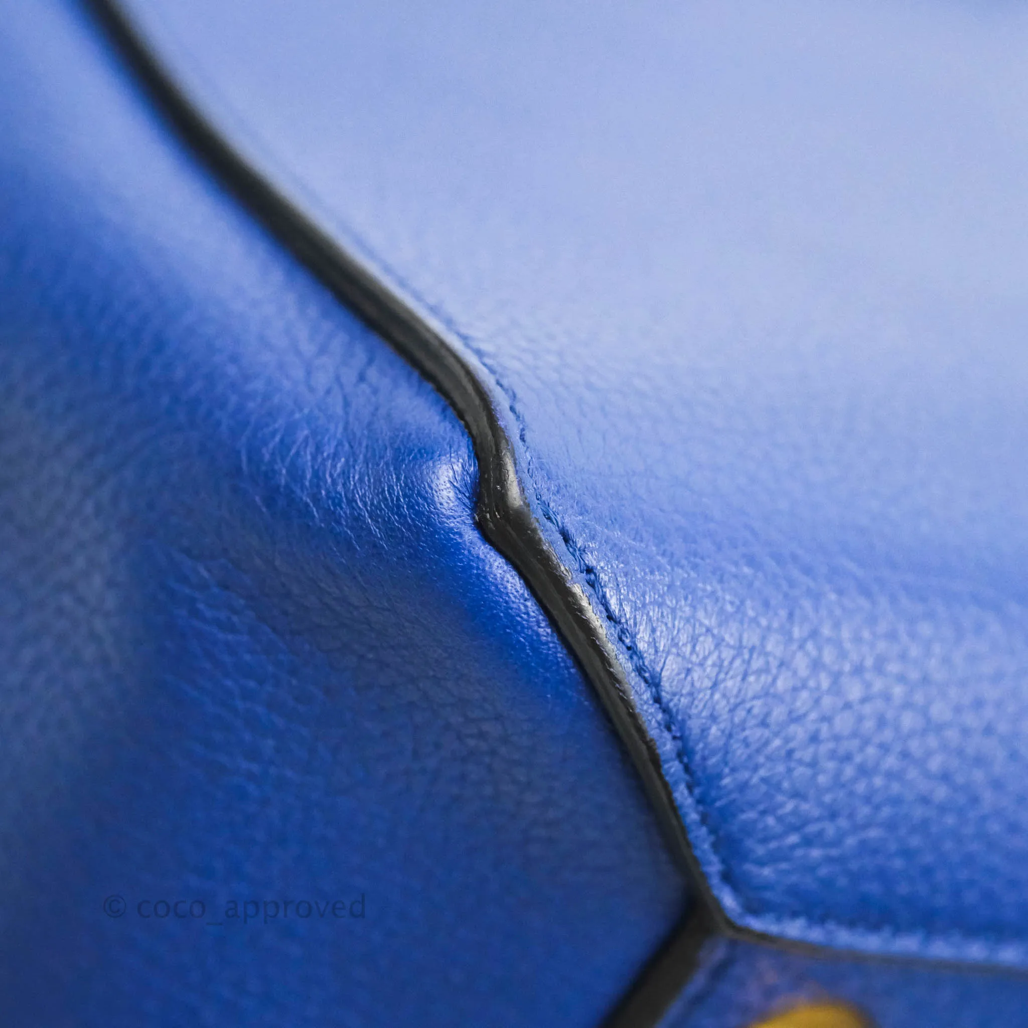Celine Mini Belt Bag Blue Grained Calfskin Gold Hardware