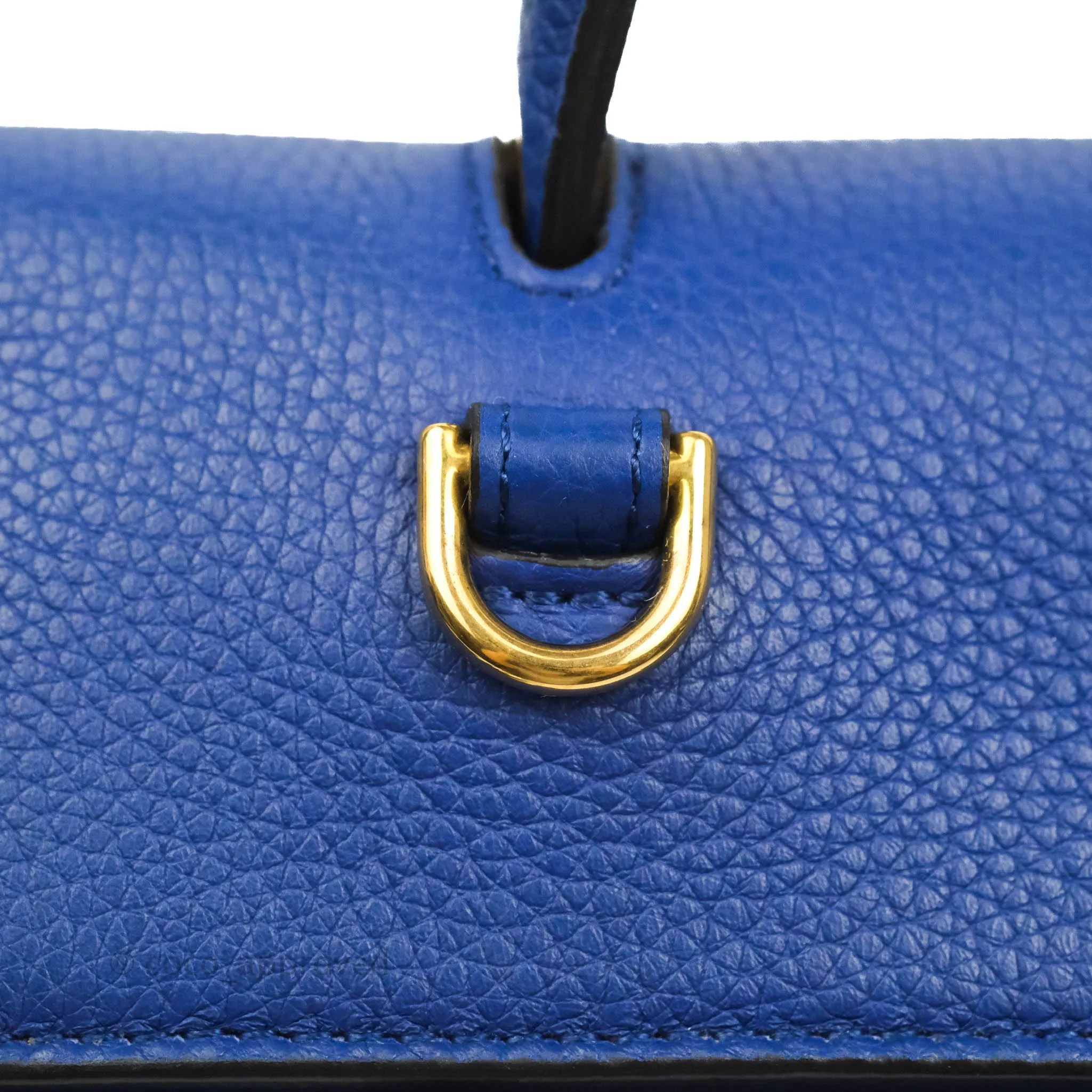 Celine Mini Belt Bag Blue Grained Calfskin Gold Hardware