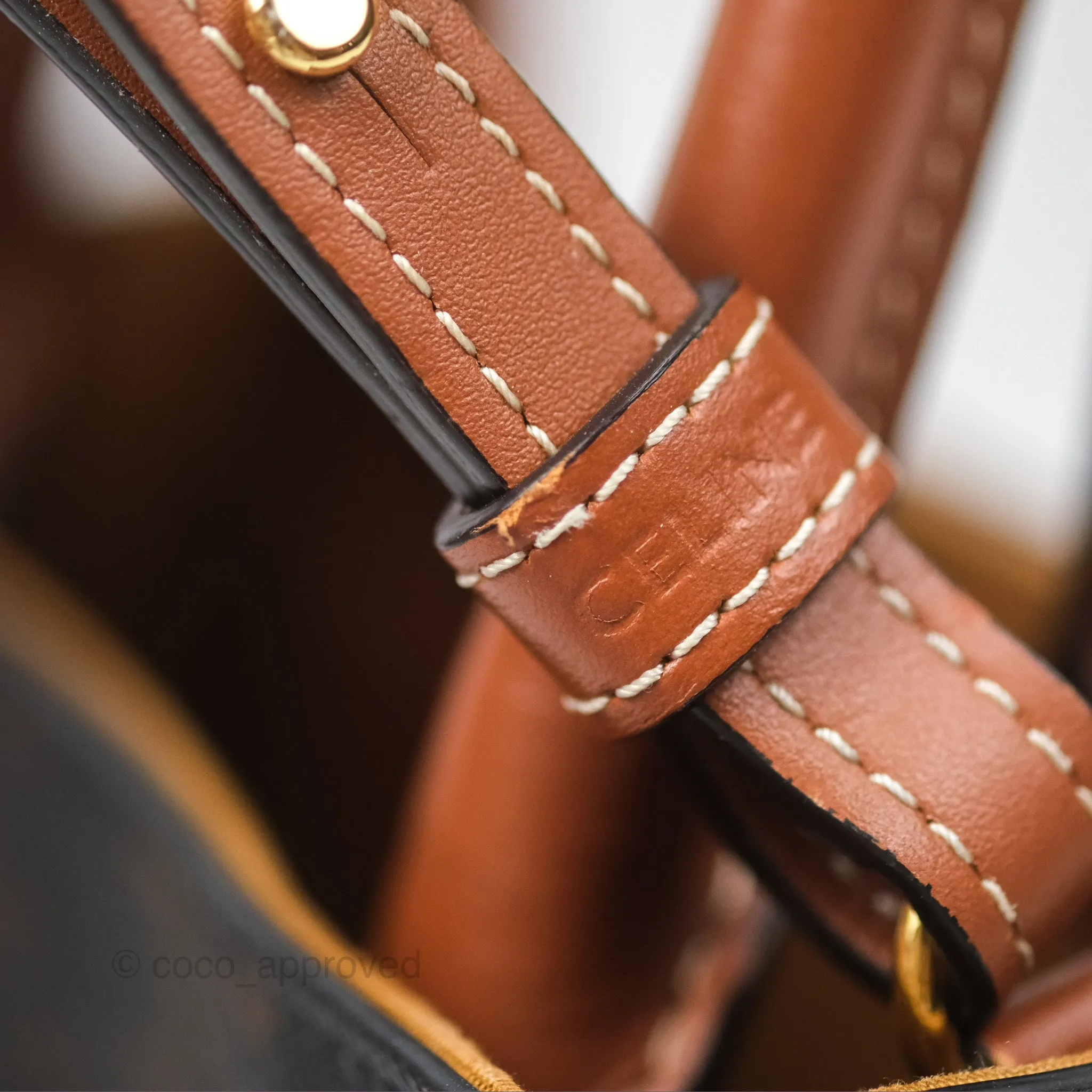 Celine Mini Vertical Cabas Bag Triomphe Canvas Tan