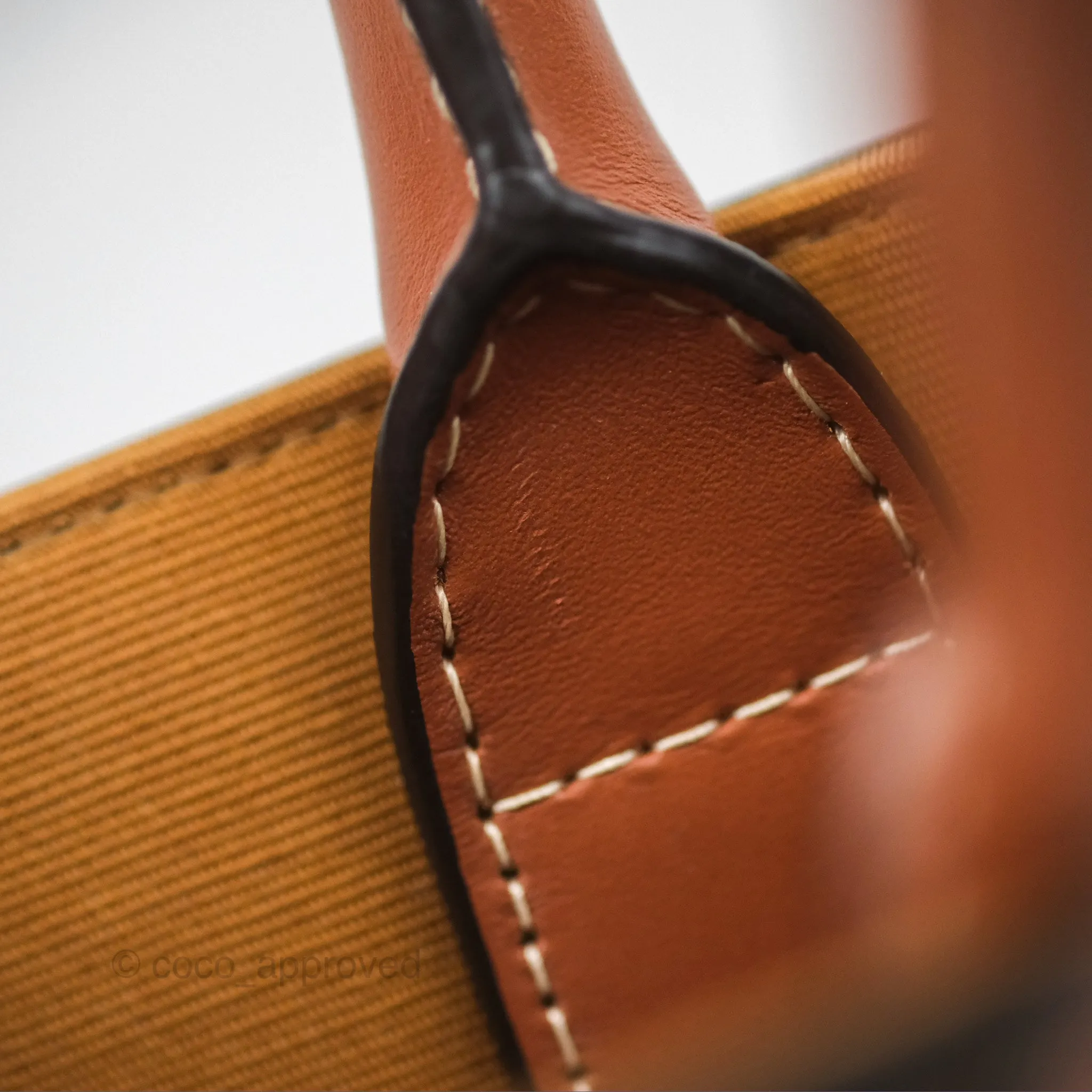 Celine Mini Vertical Cabas Bag Triomphe Canvas Tan