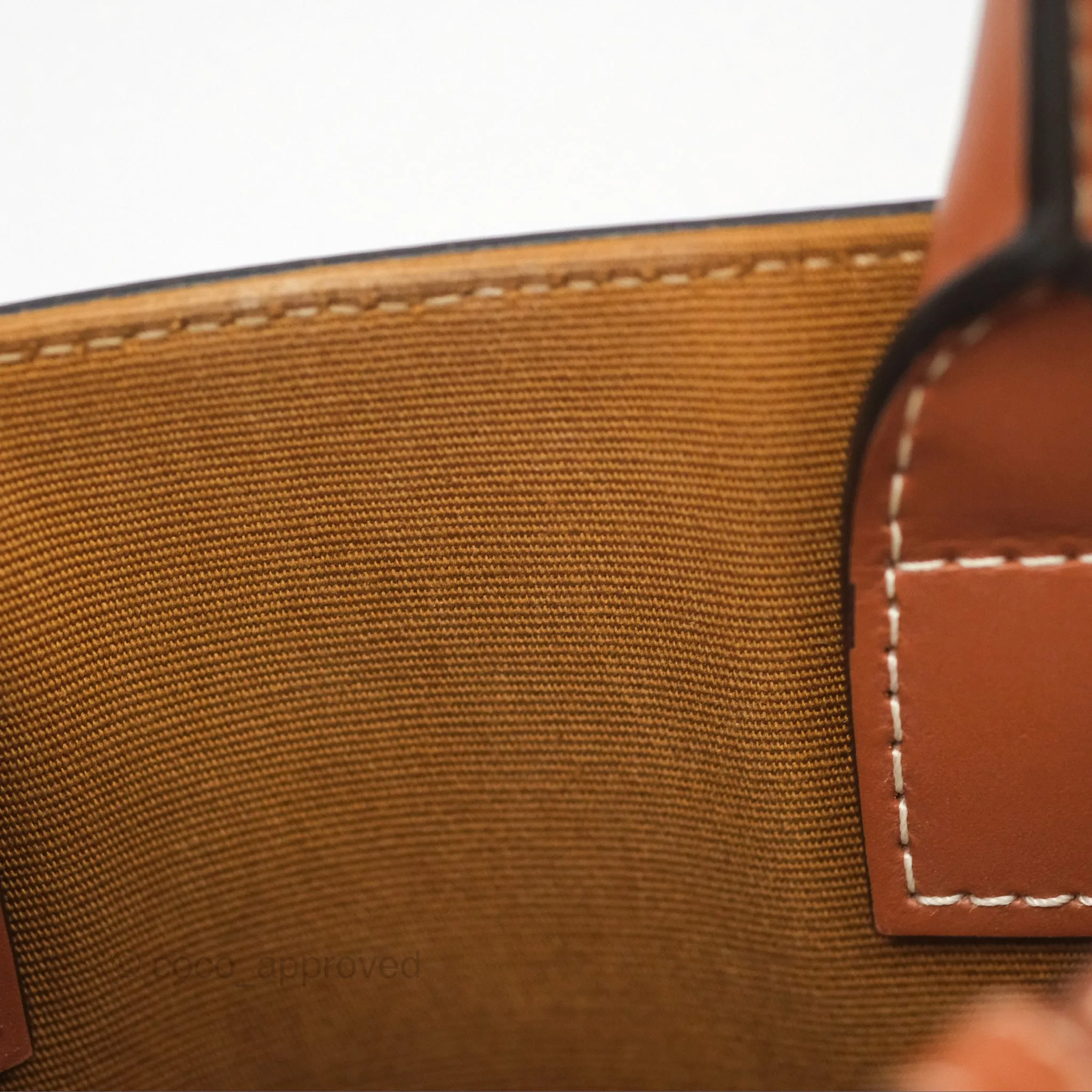 Celine Mini Vertical Cabas Bag Triomphe Canvas Tan