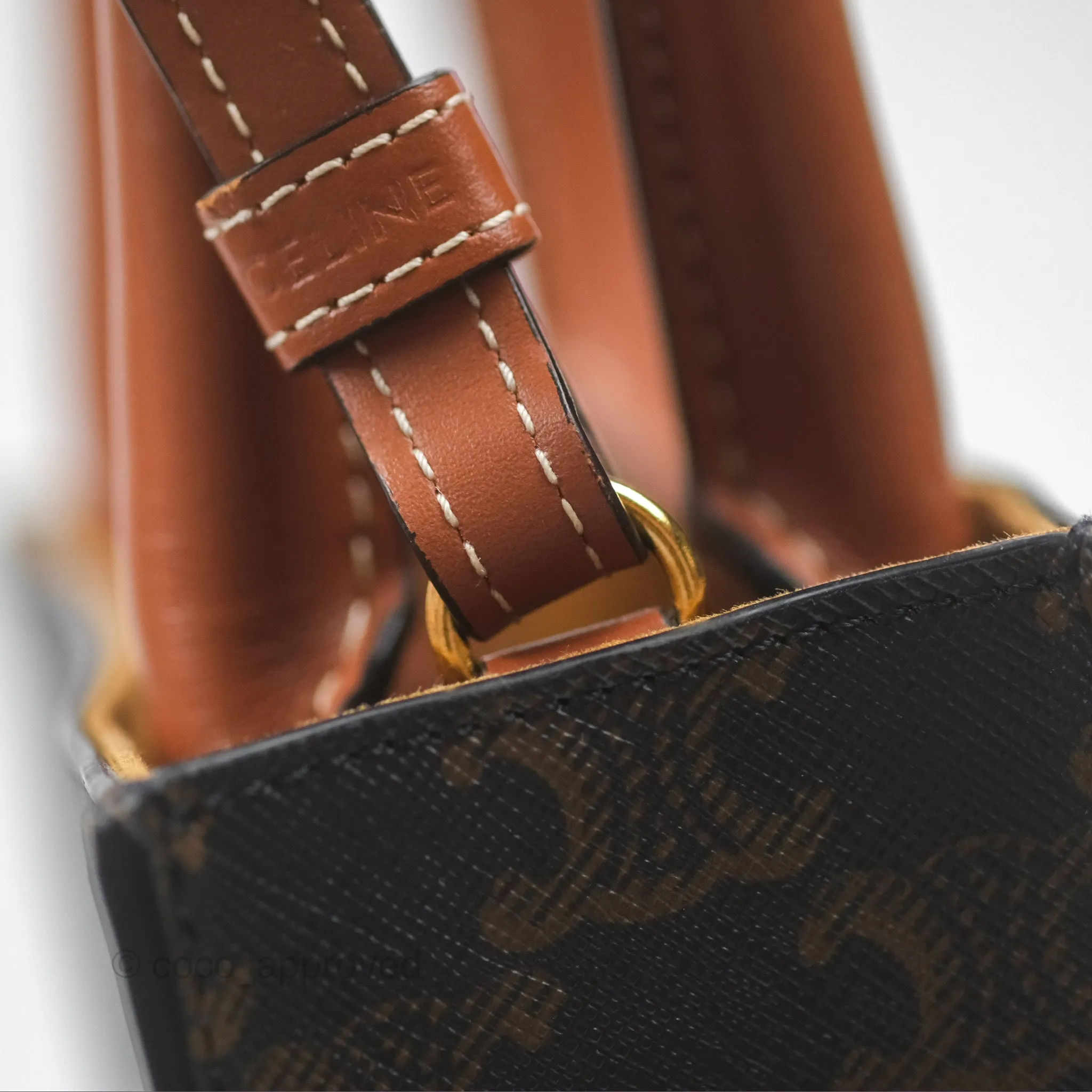 Celine Mini Vertical Cabas Bag Triomphe Canvas Tan
