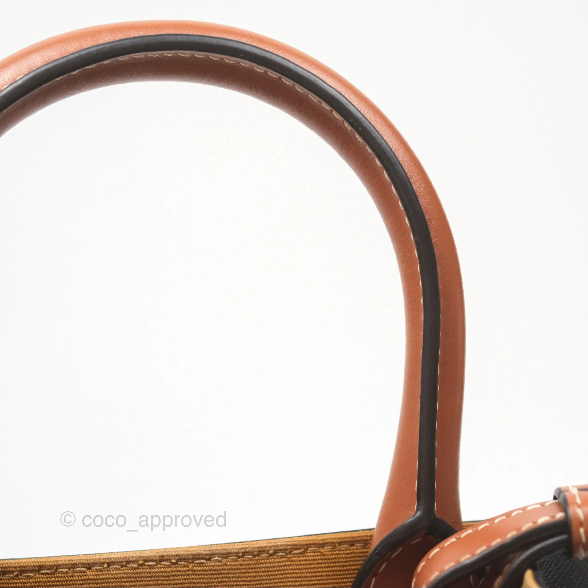 Celine Mini Vertical Cabas Bag Triomphe Canvas Tan