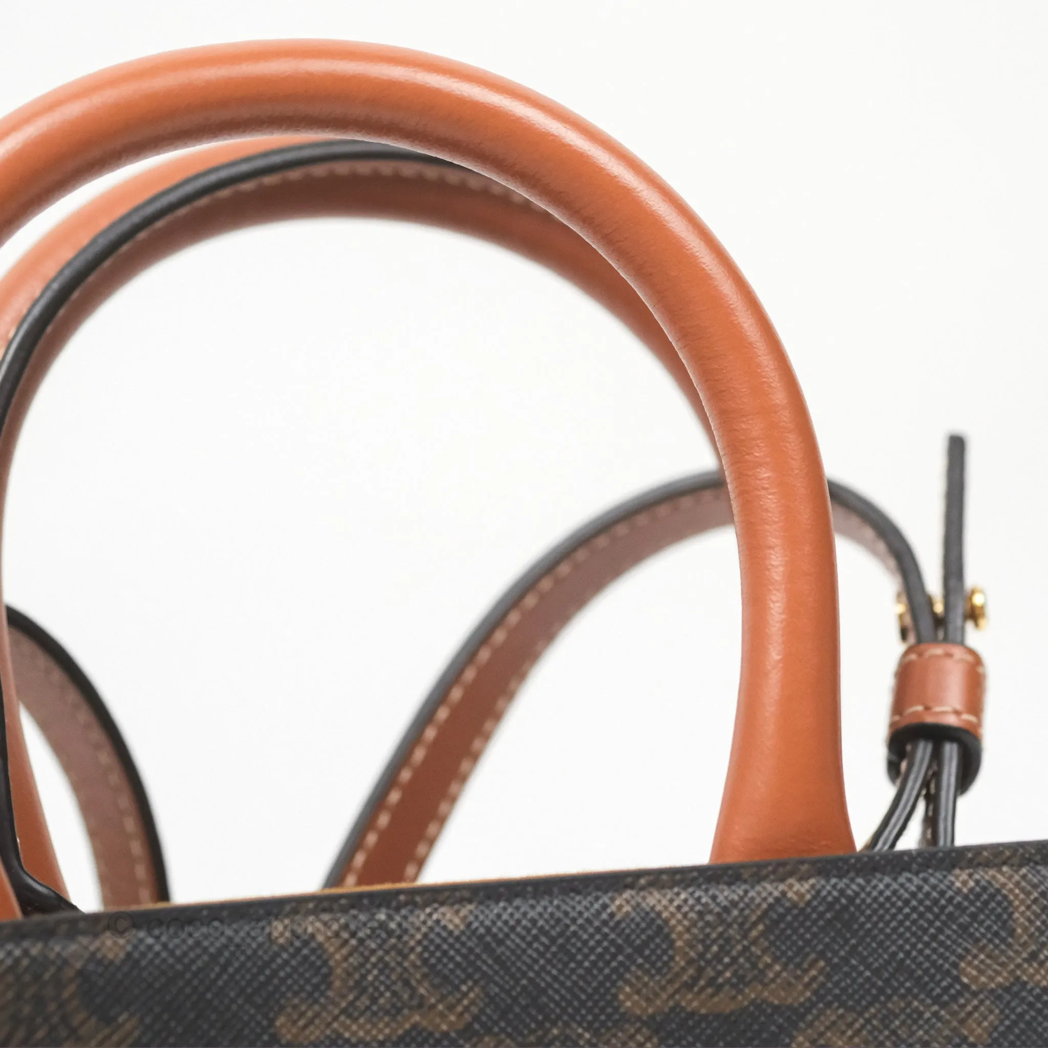 Celine Mini Vertical Cabas Bag Triomphe Canvas Tan